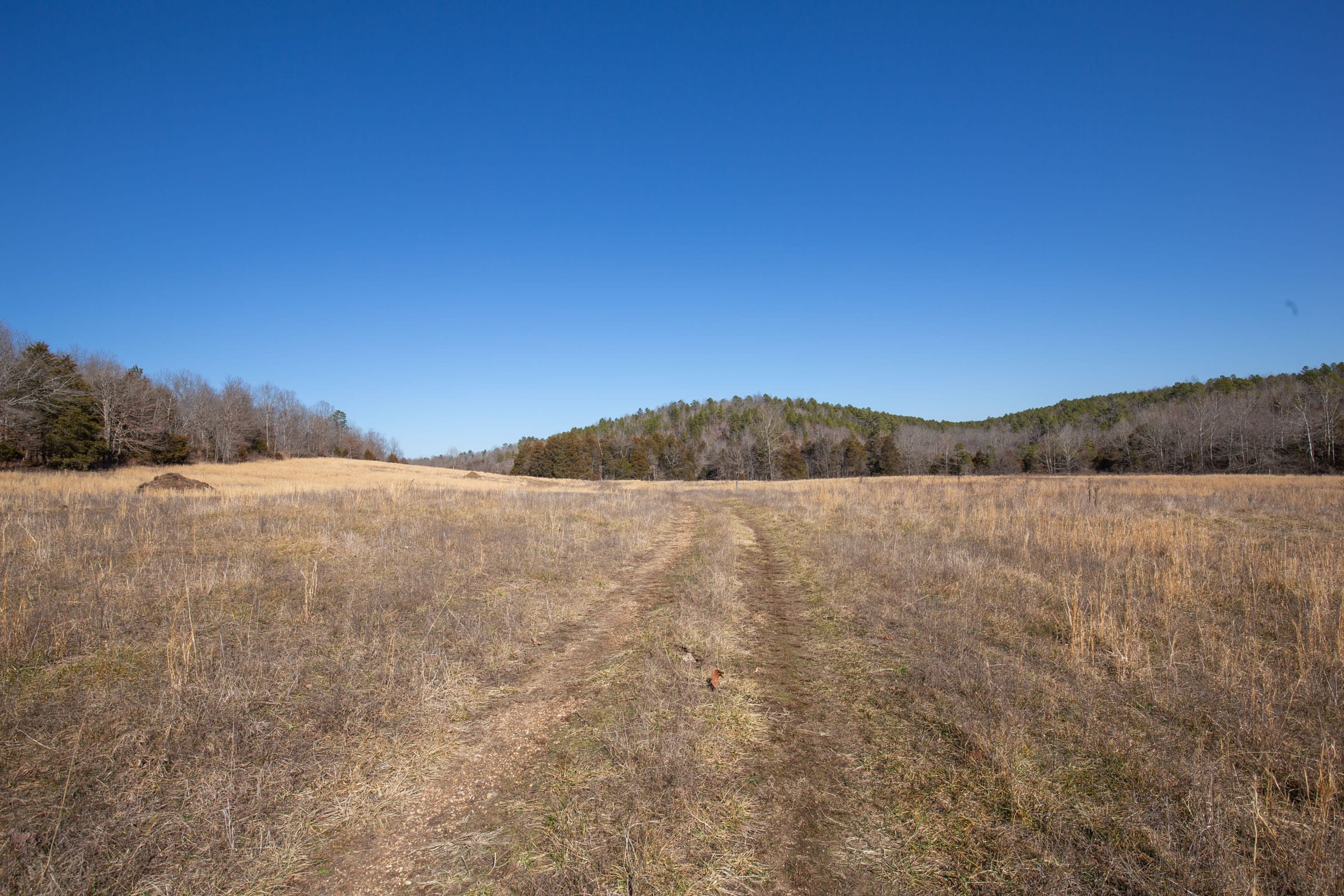 O’Connor Crossing Tract 20 photo 10