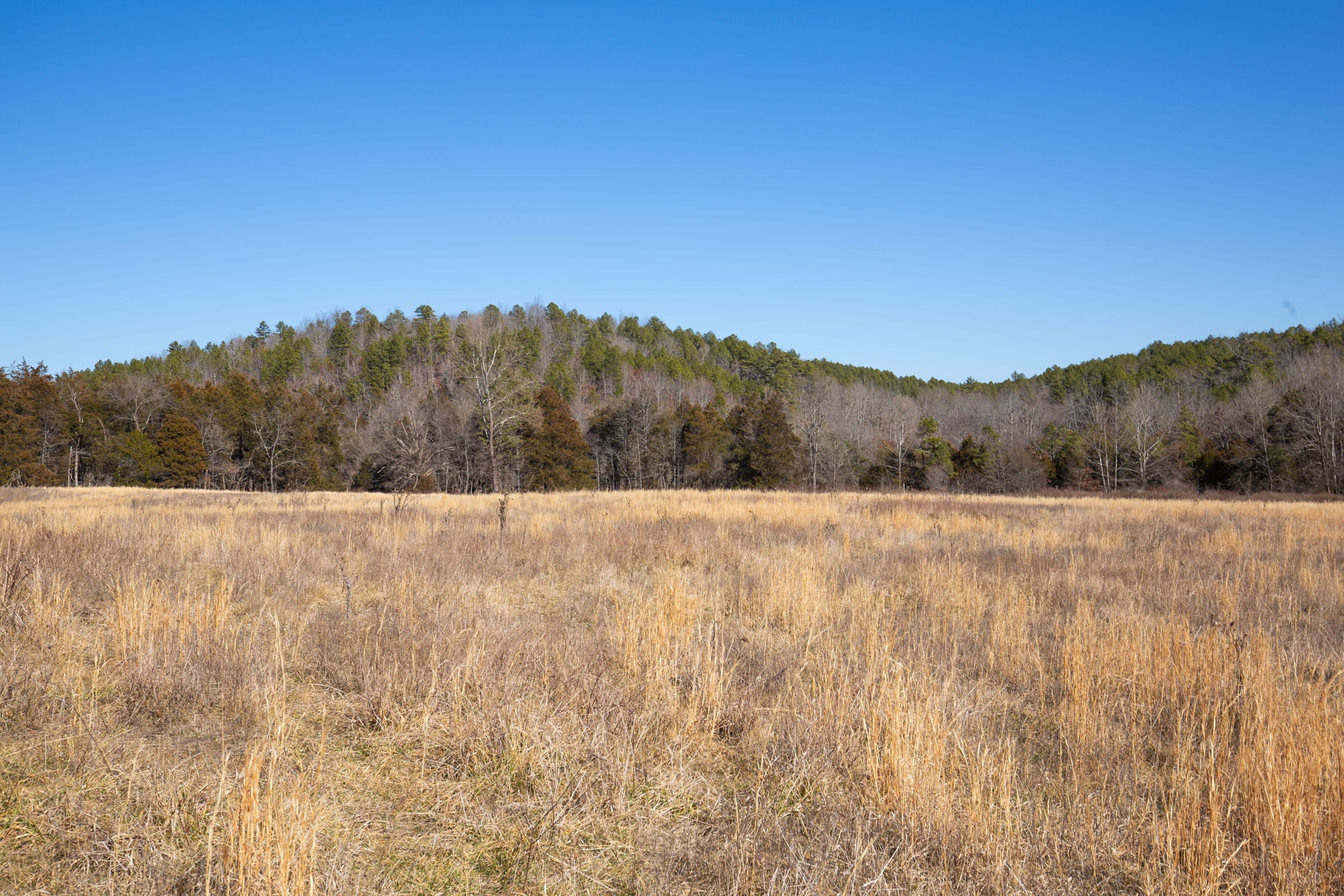 O’Connor Crossing Tract 20 photo 11