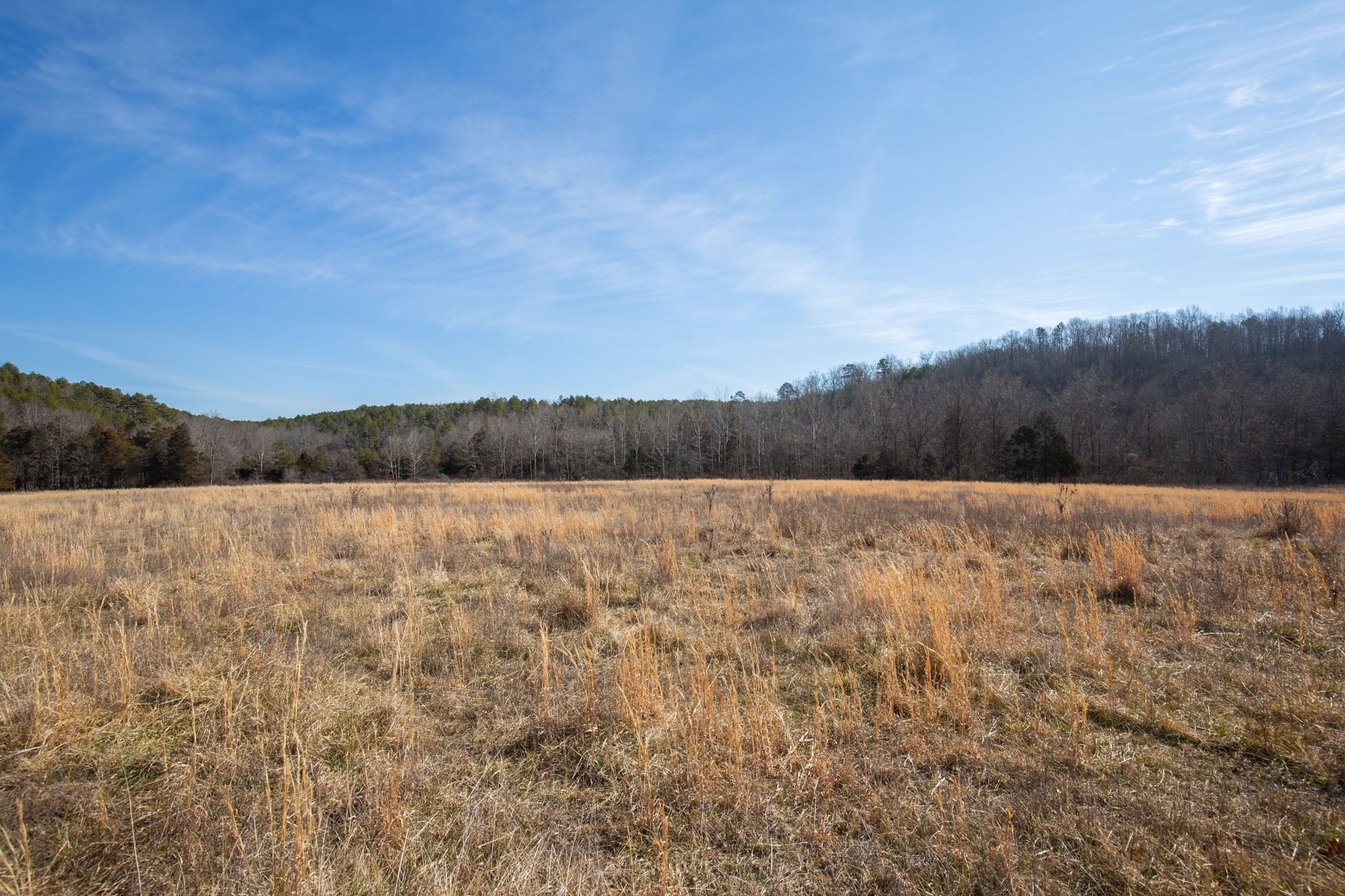 O’Connor Crossing Tract 20 photo 12