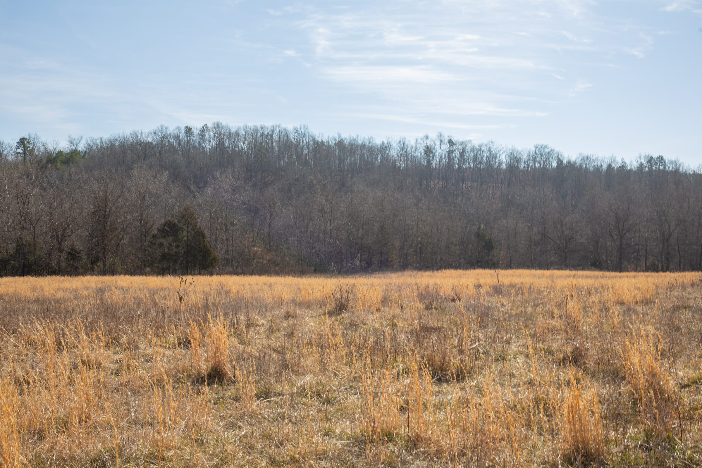 O’Connor Crossing Tract 20 photo 13