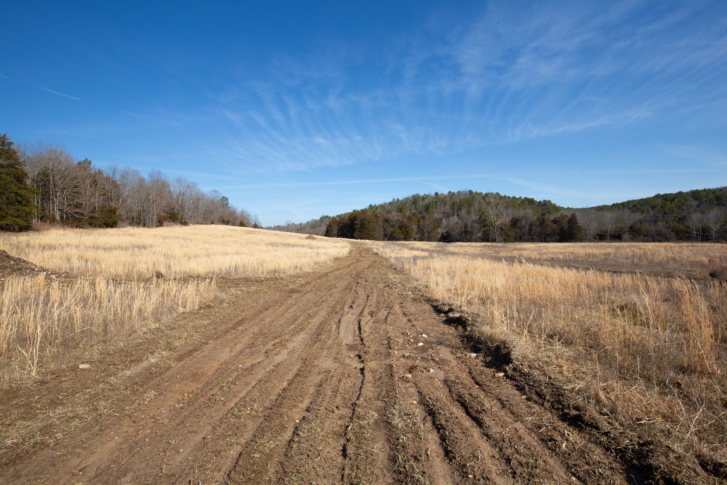 O’Connor Crossing Tract 20 photo 14