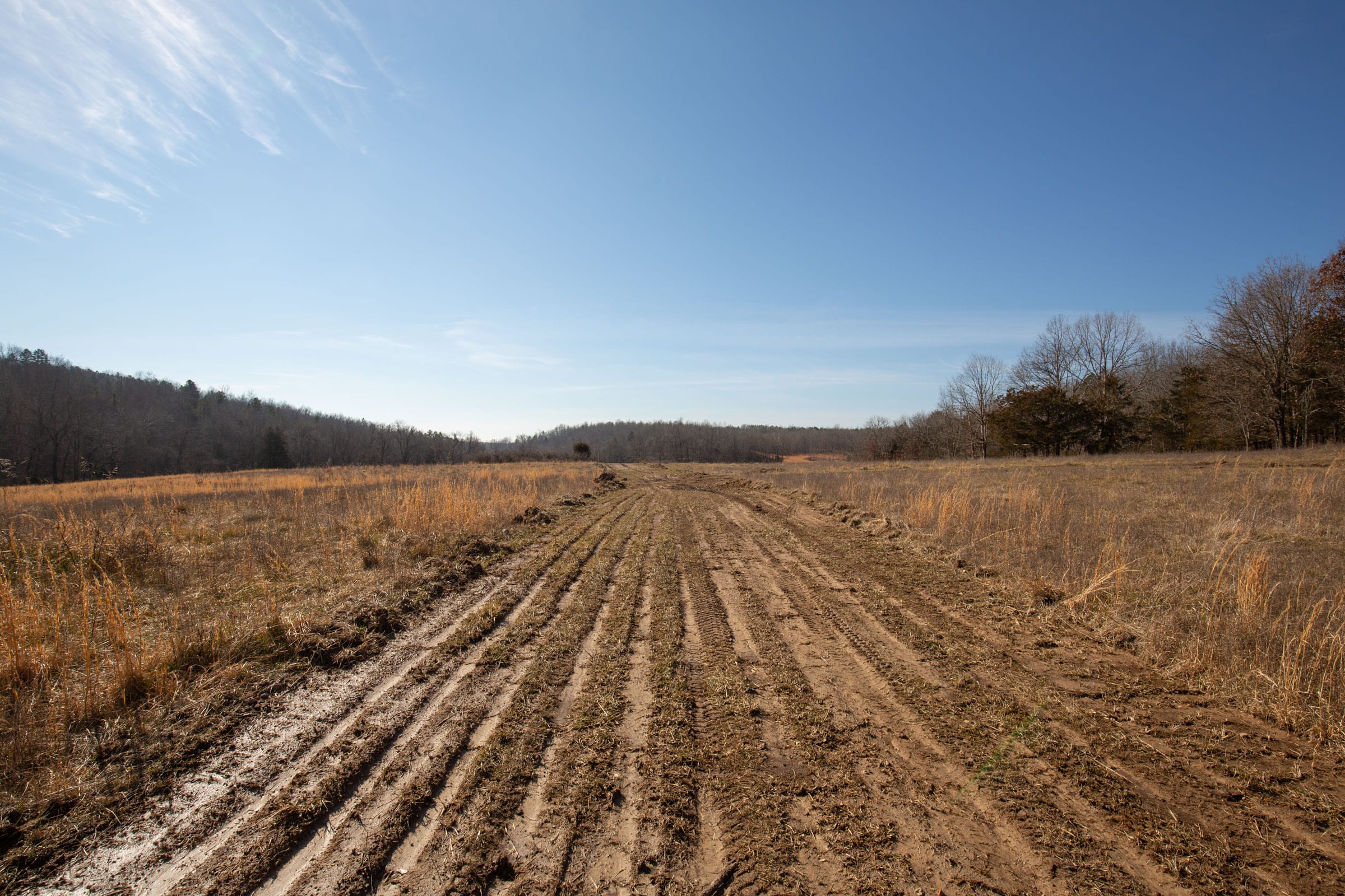 O’Connor Crossing Tract 20 photo 15
