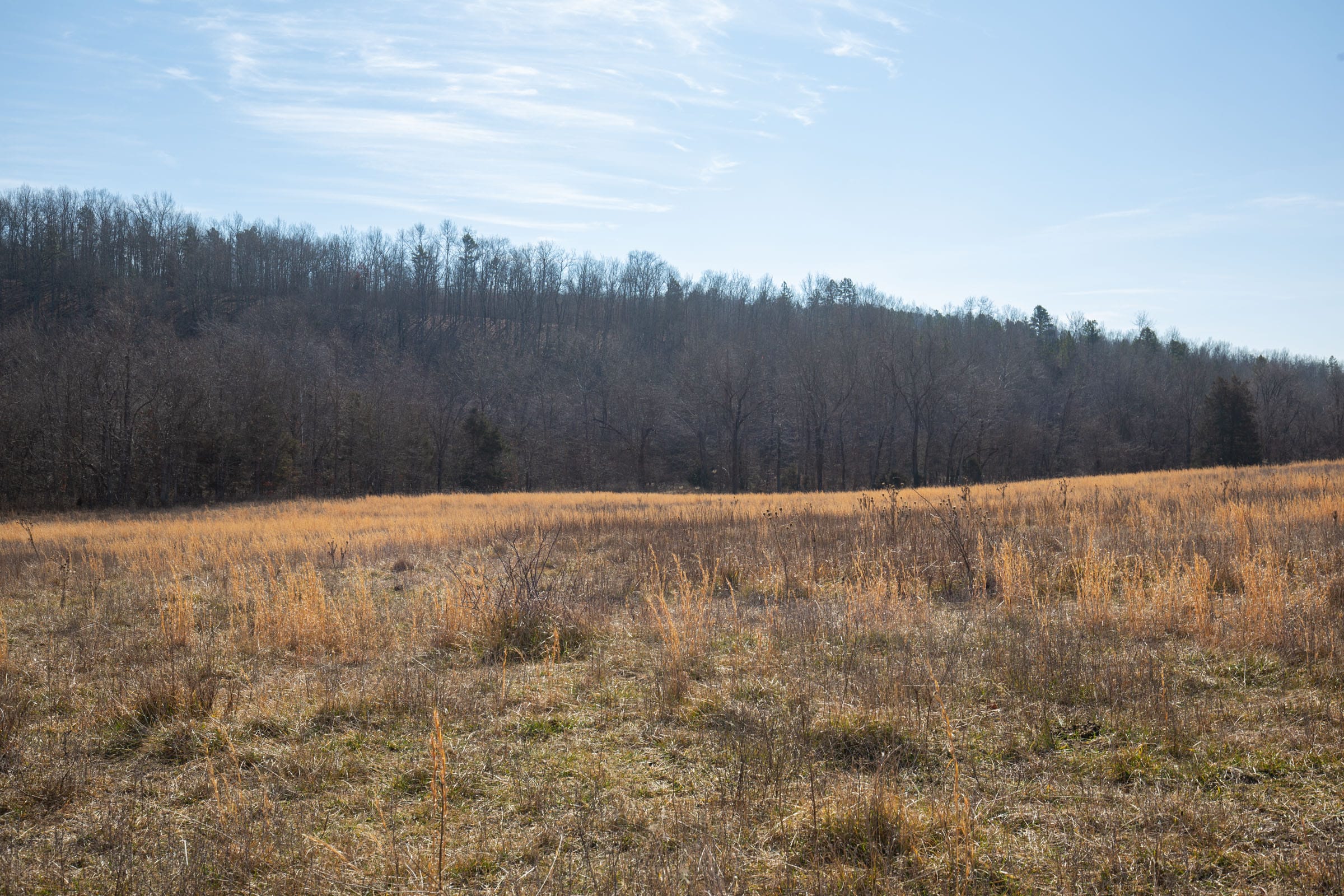 O’Connor Crossing Tract 20 photo 16