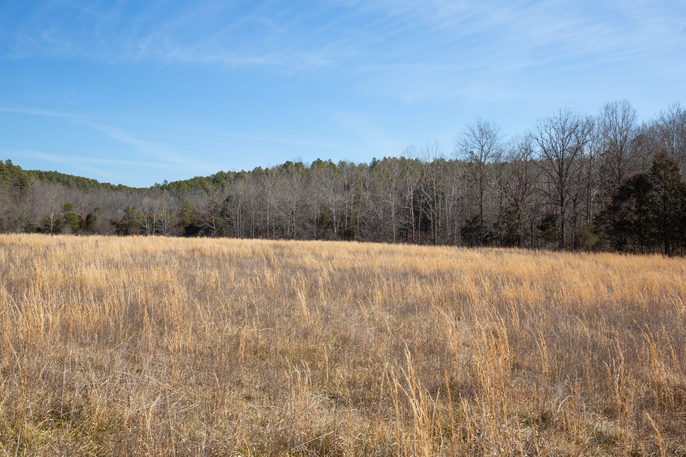 O’Connor Crossing Tract 20 photo 17
