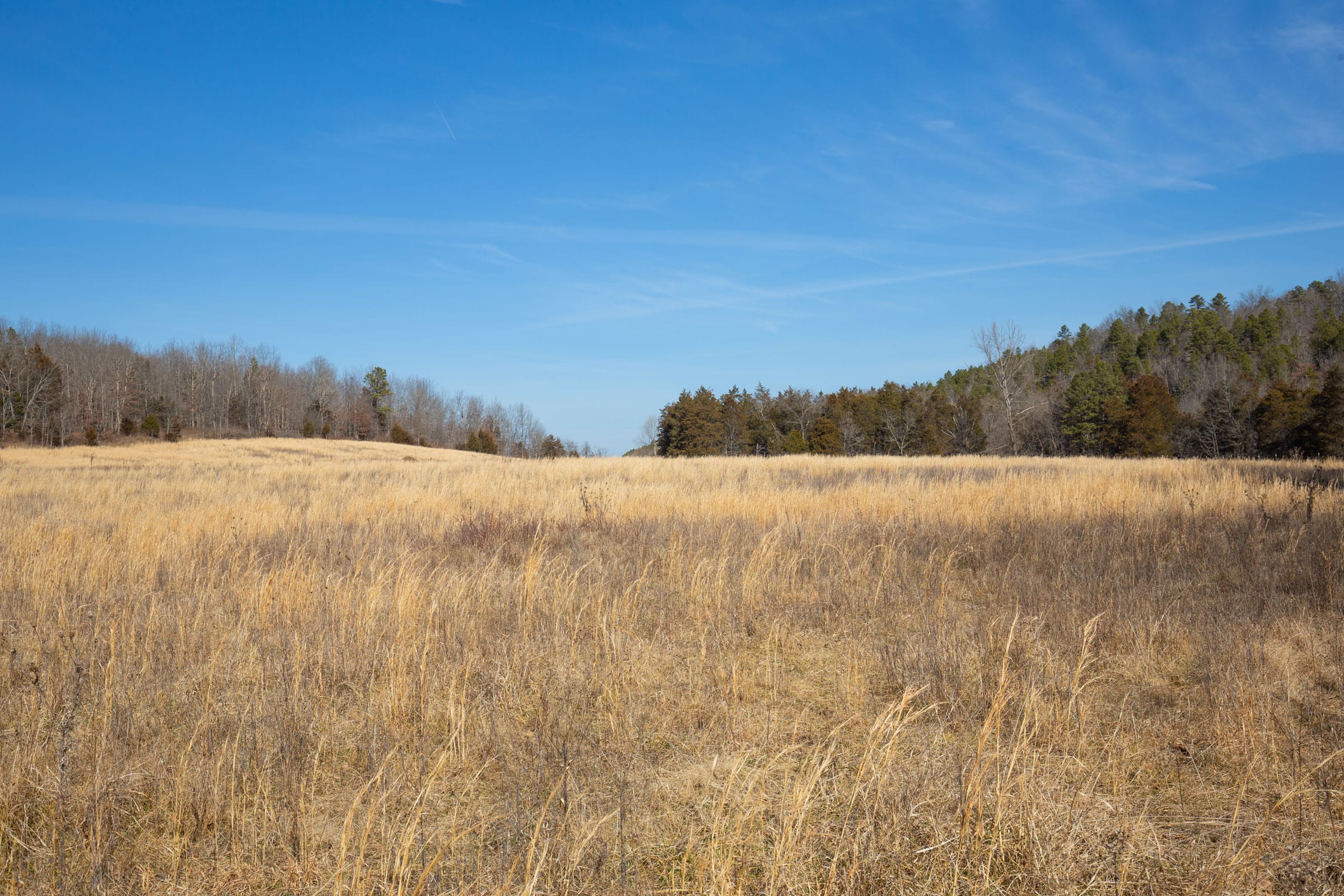 O’Connor Crossing Tract 20 photo 18