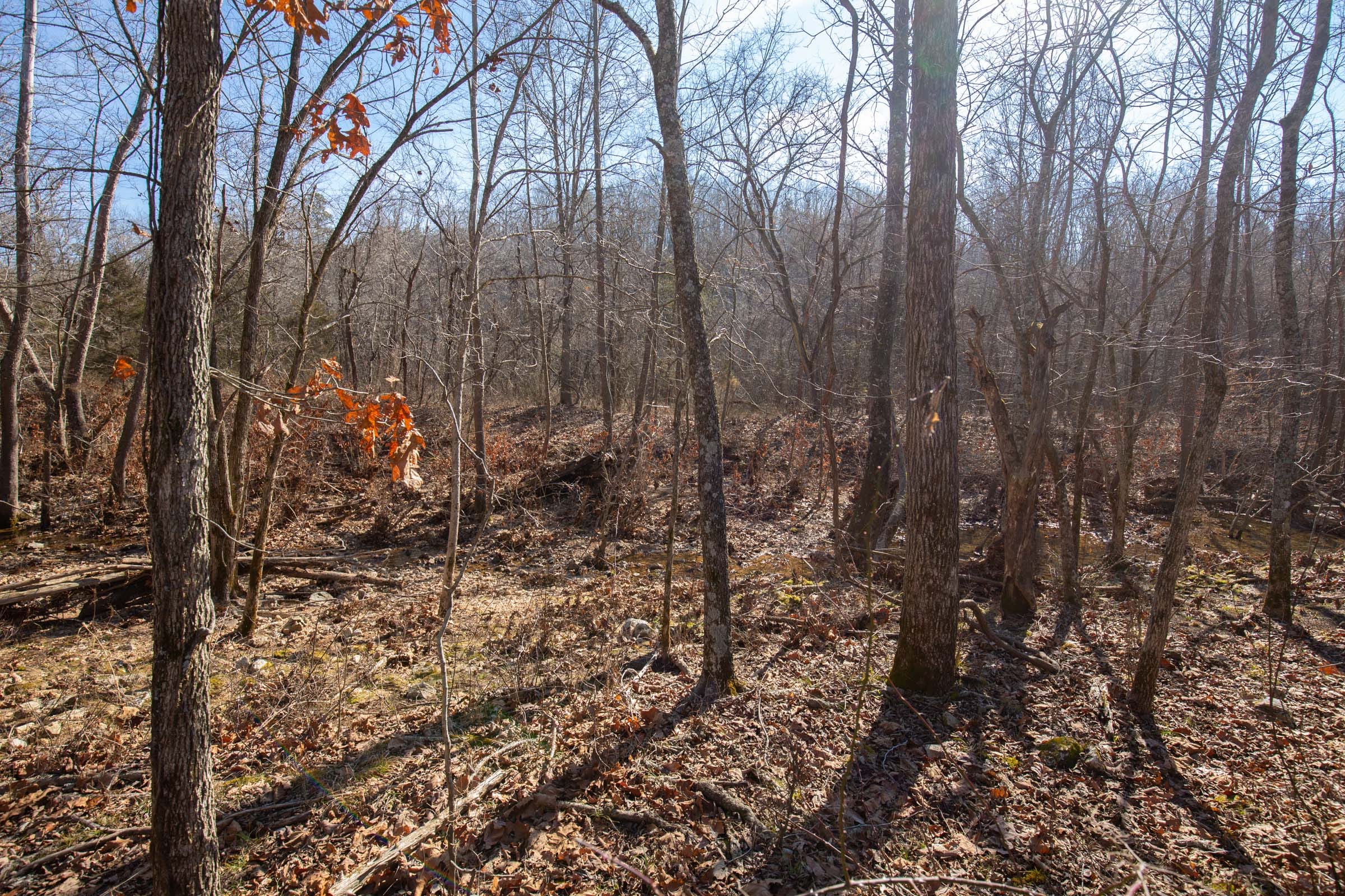 O’Connor Crossing Tract 20 photo 19