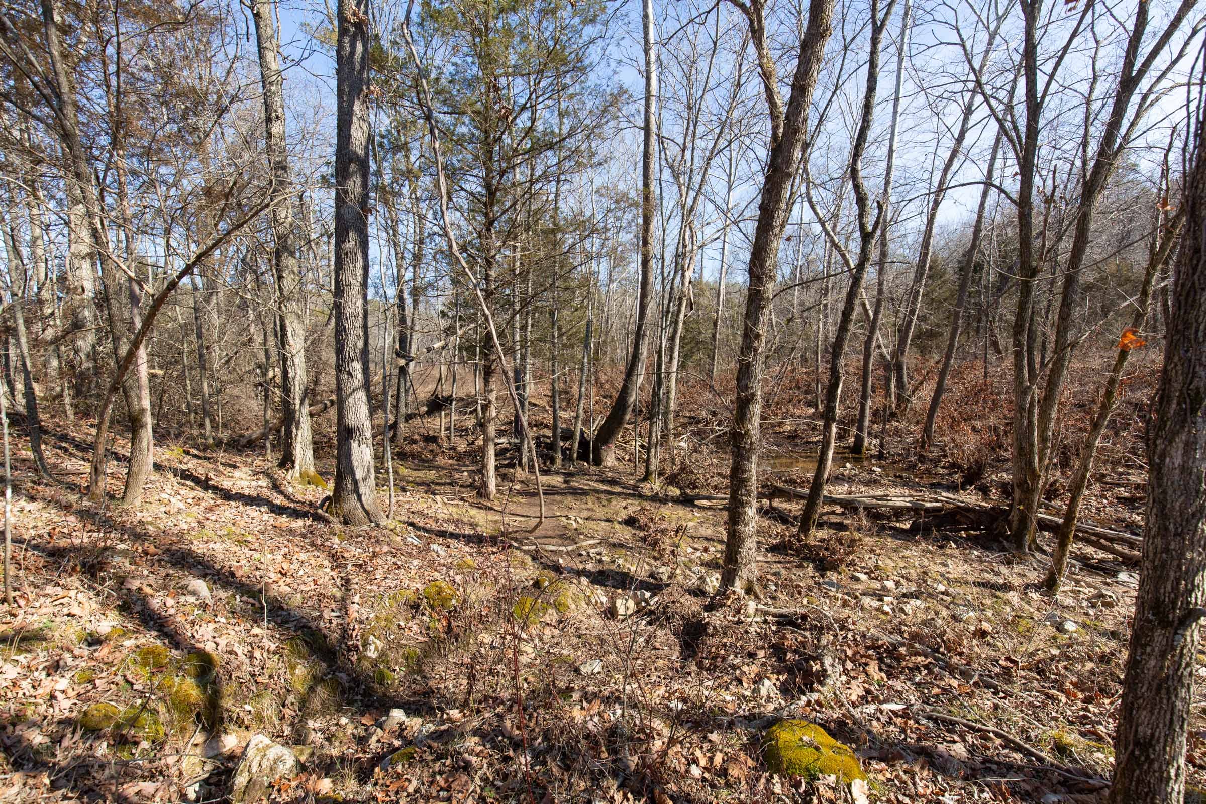 O’Connor Crossing Tract 20 photo 20