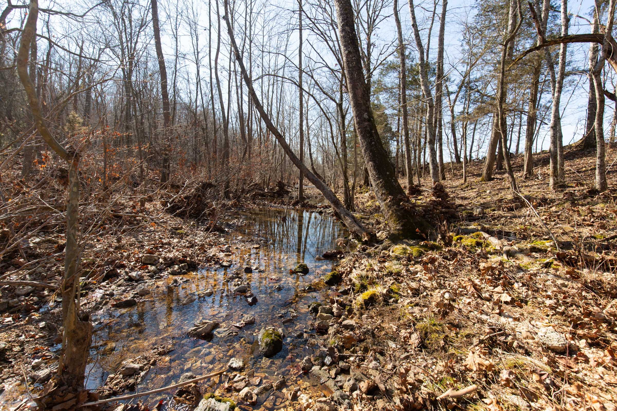 O’Connor Crossing Tract 20 photo 21