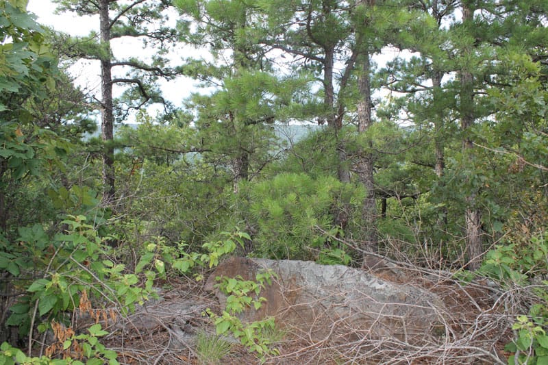 Trophy Ridge Phase III Tract 29 photo 2
