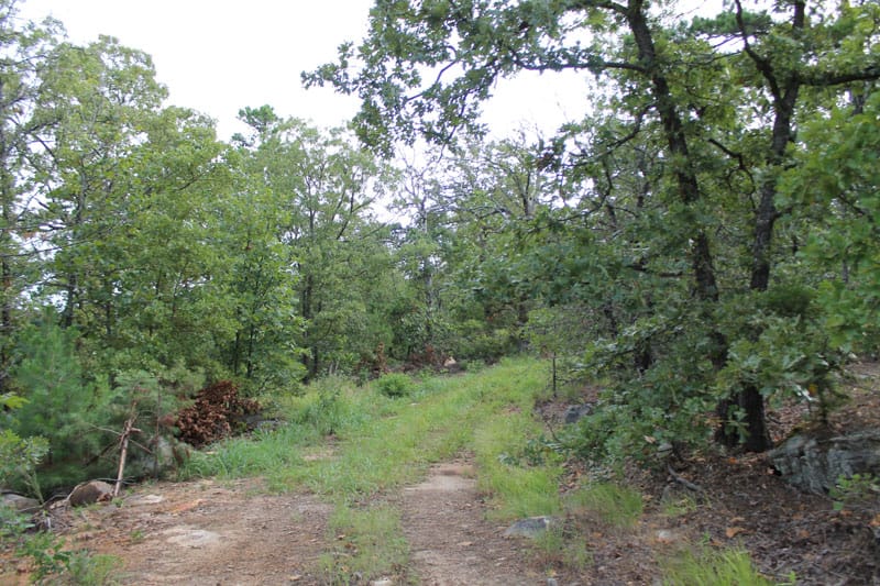 Trophy Ridge Phase III Tract 29 photo 1