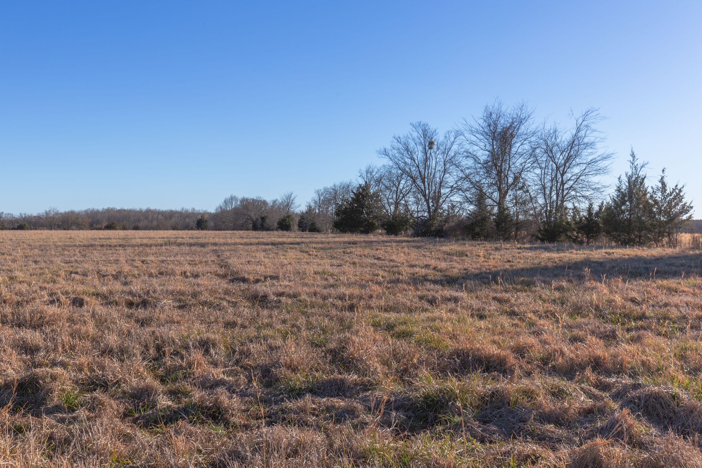 Wishing Star Ranch Tract 12 photo 3