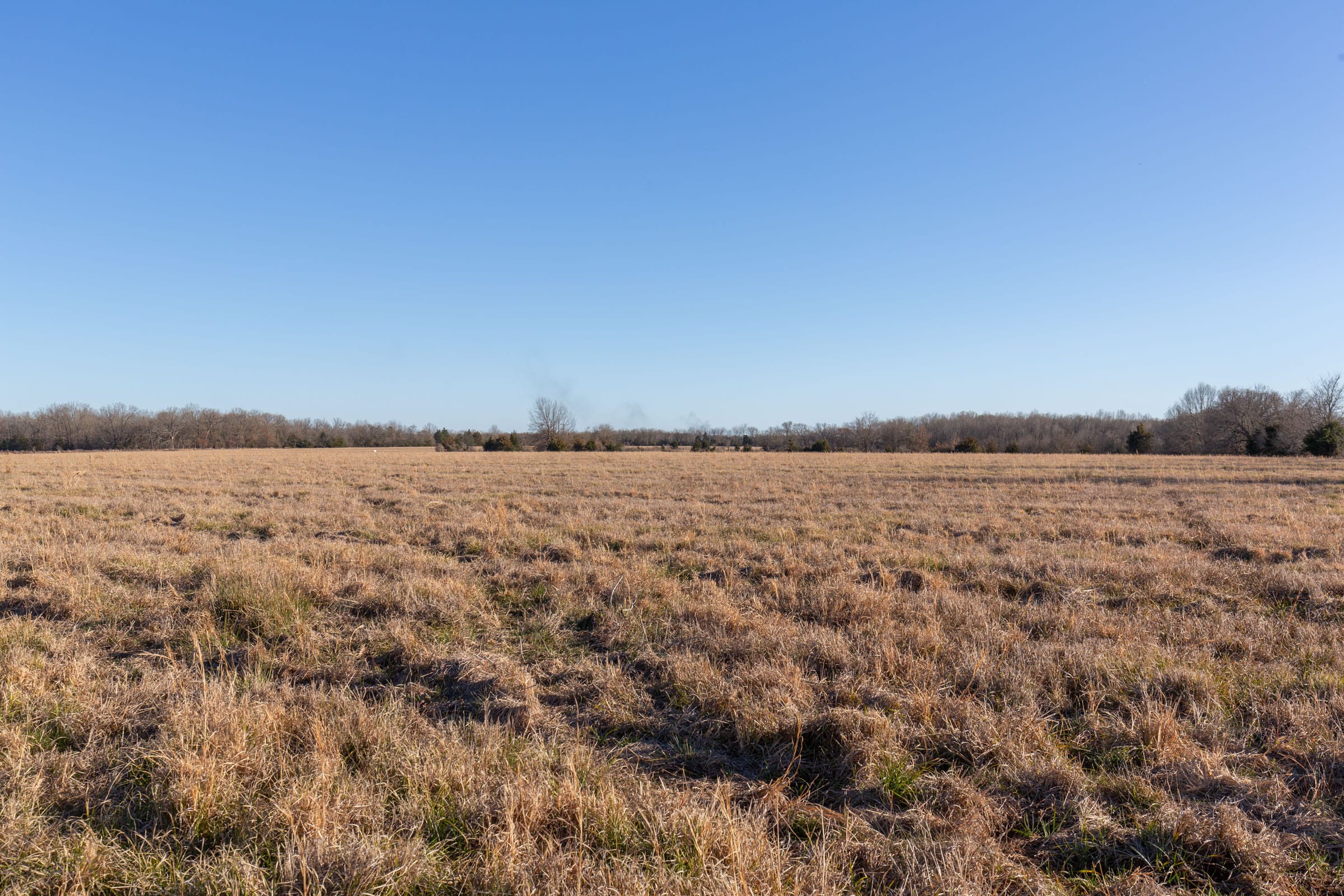 Wishing Star Ranch Tract 12 photo 4