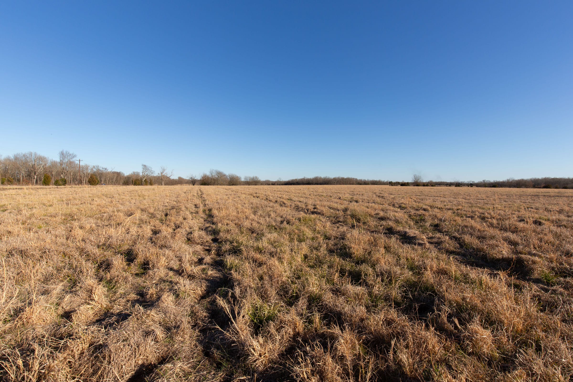 Wishing Star Ranch Tract 12 photo 5