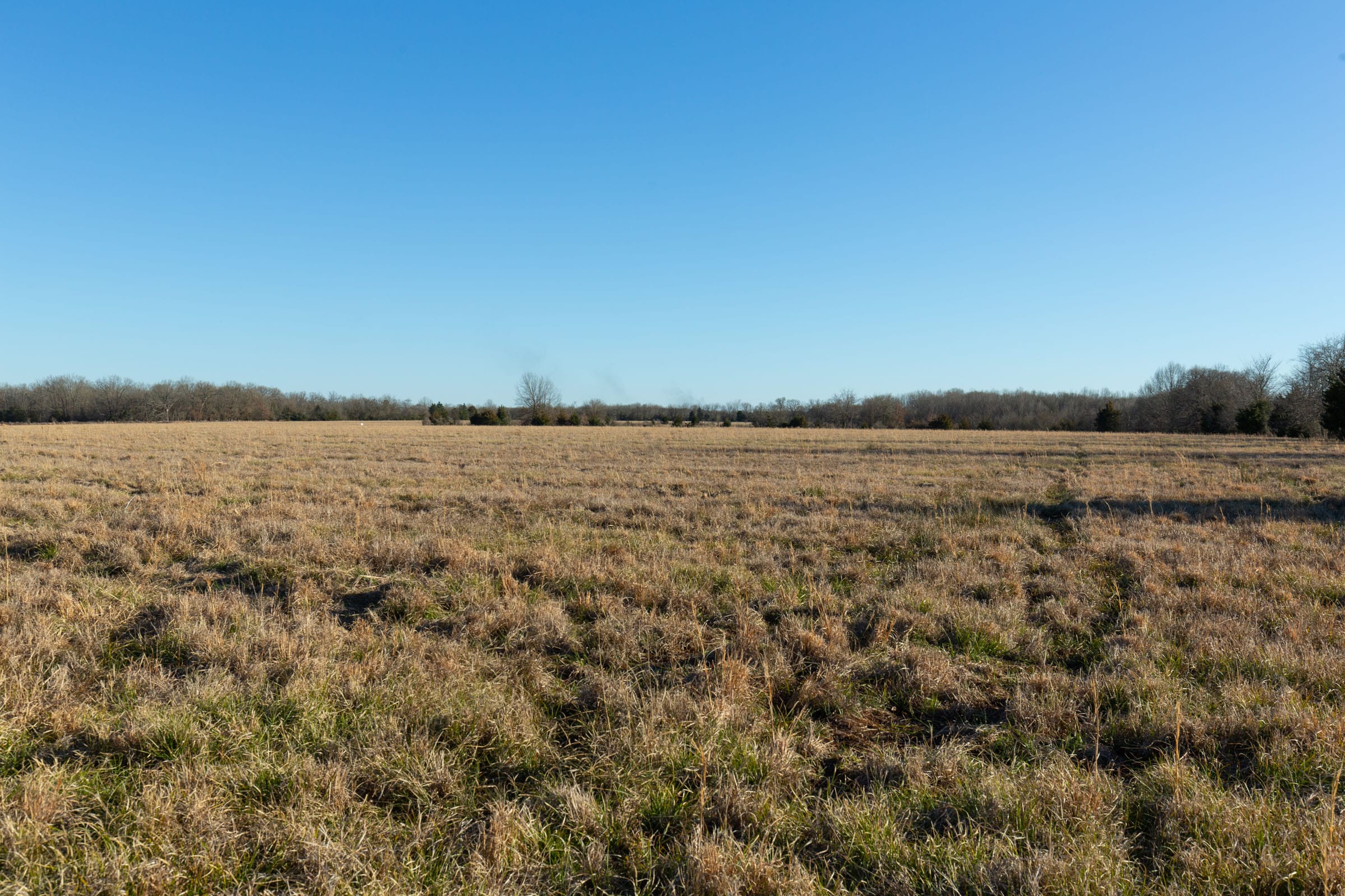 Wishing Star Ranch Tract 12 photo 8
