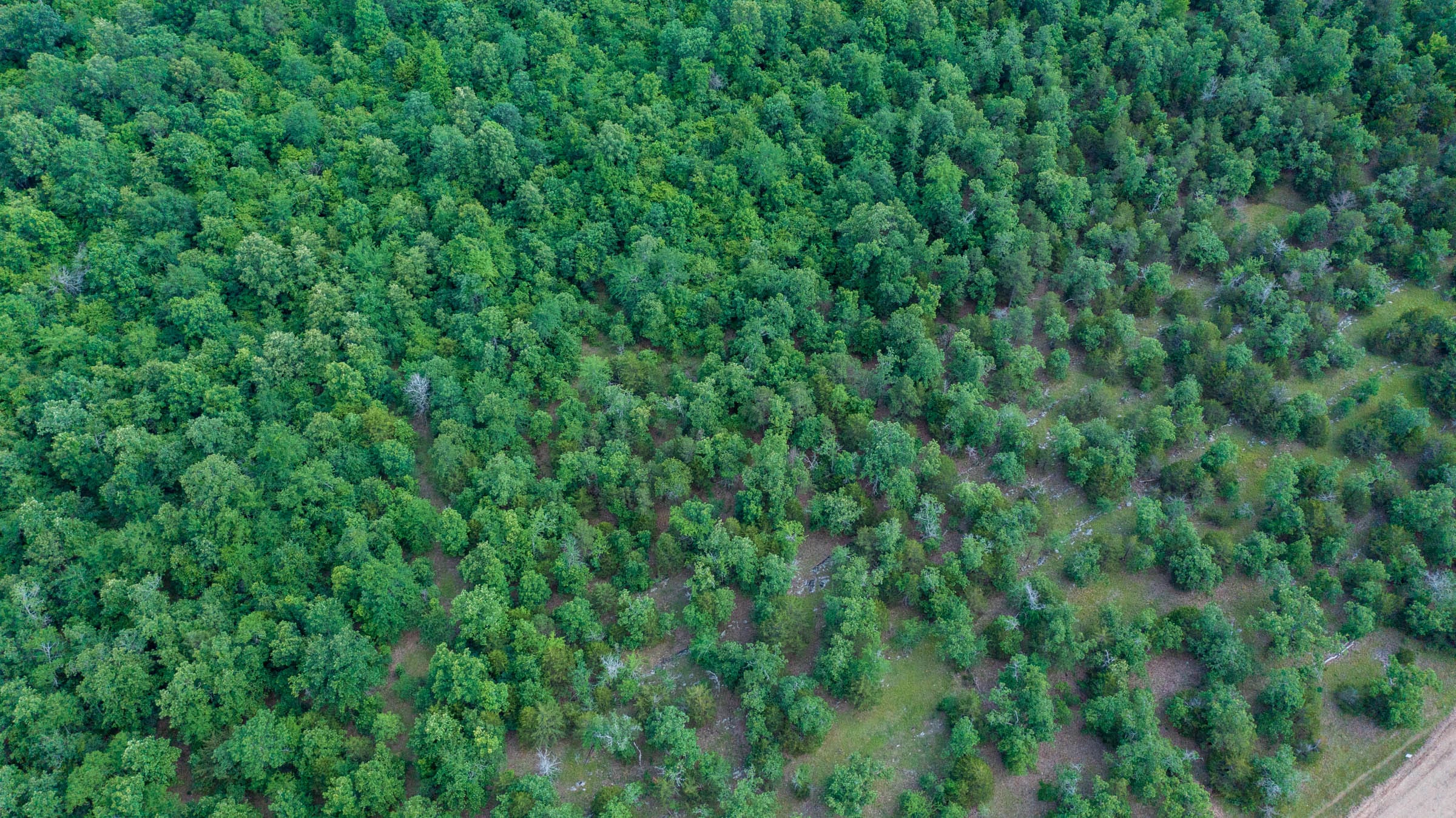 Falcon Crest Tract 20 photo 3