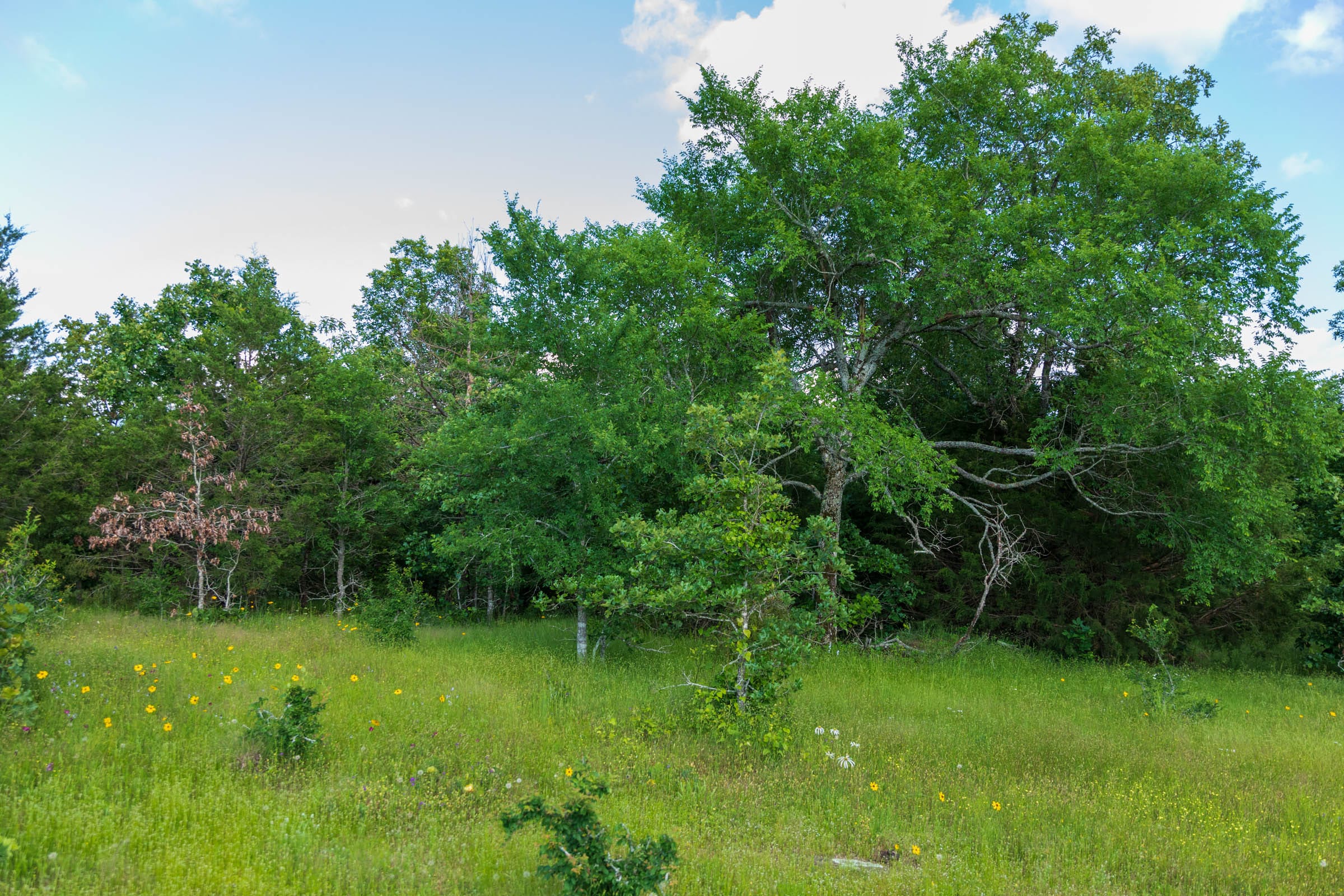 Falcon Crest Tract 20 photo 5