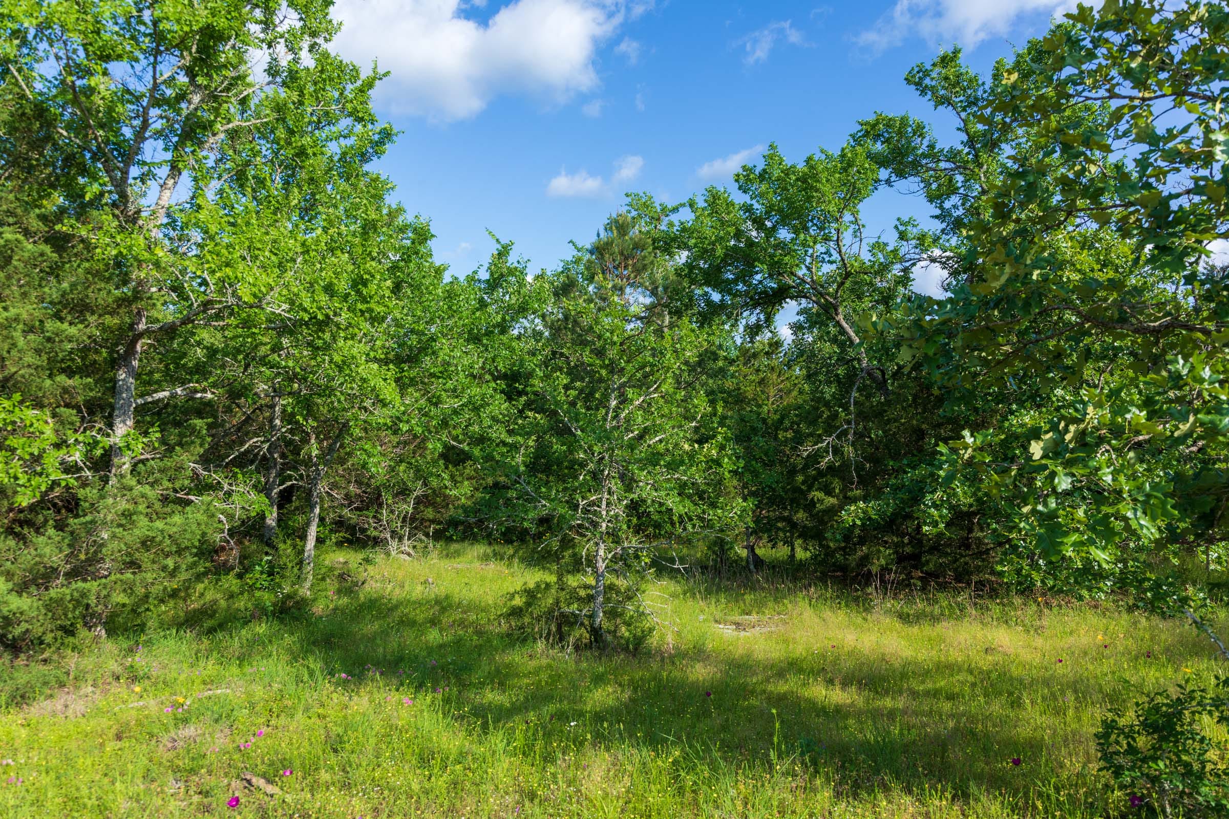 Falcon Crest Tract 20 photo 9