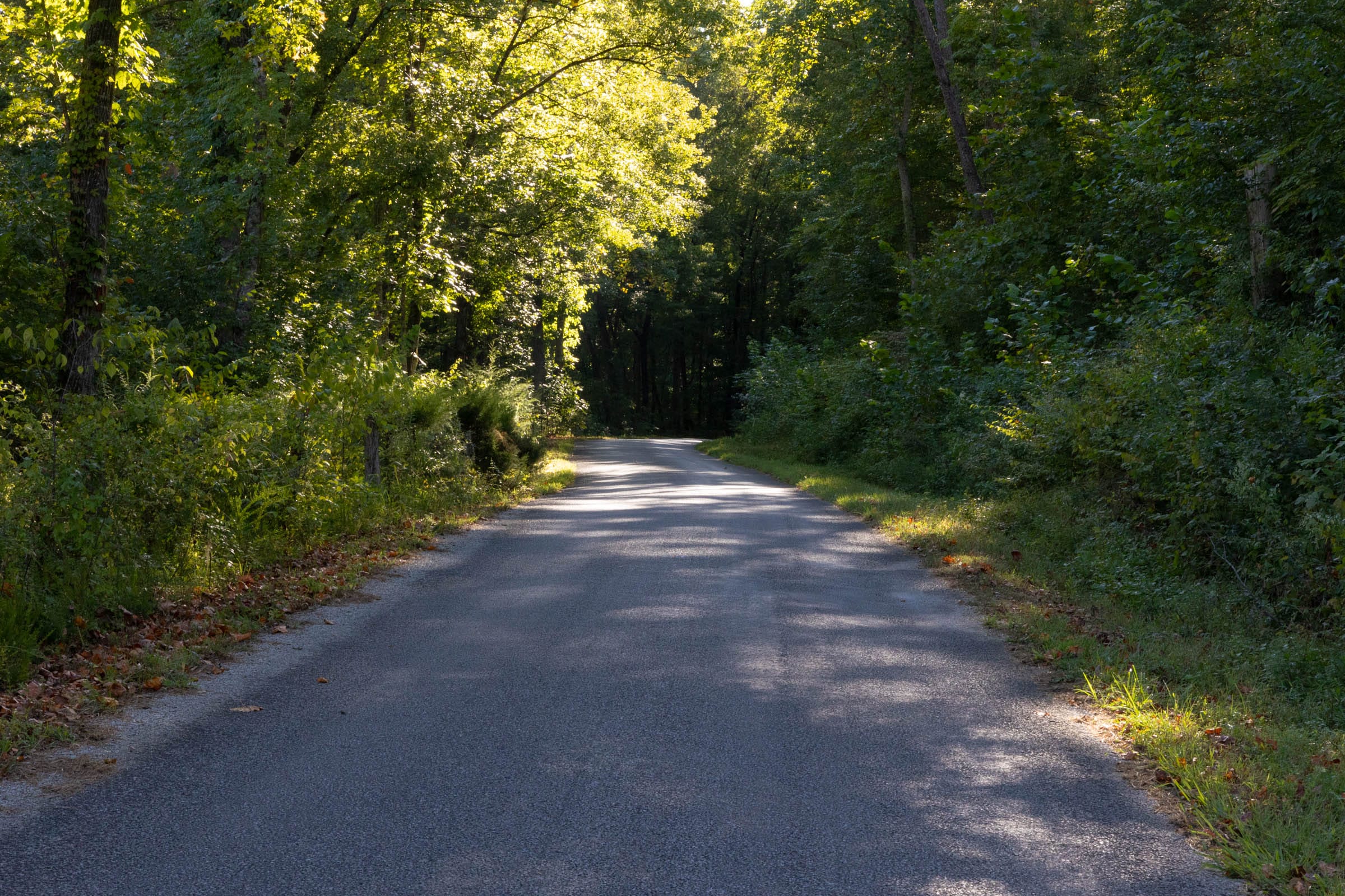 Big White Oak Tract 3 photo 5