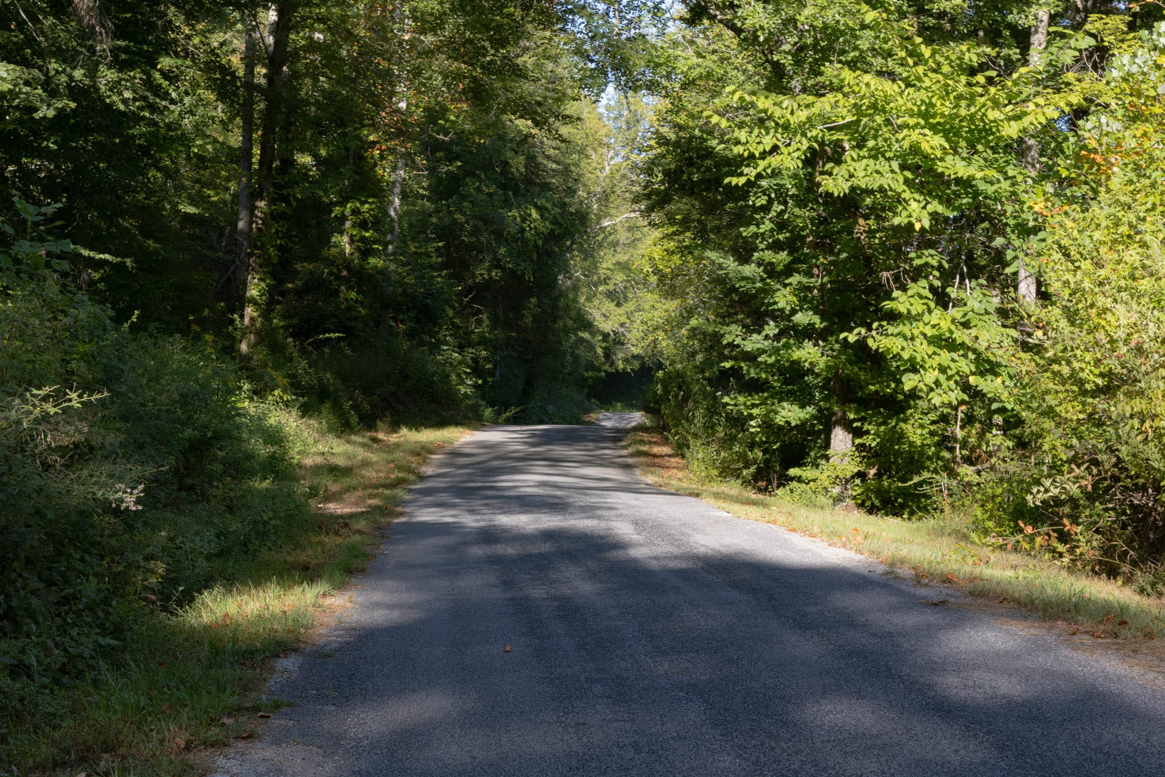 Big White Oak Tract 3 photo 1