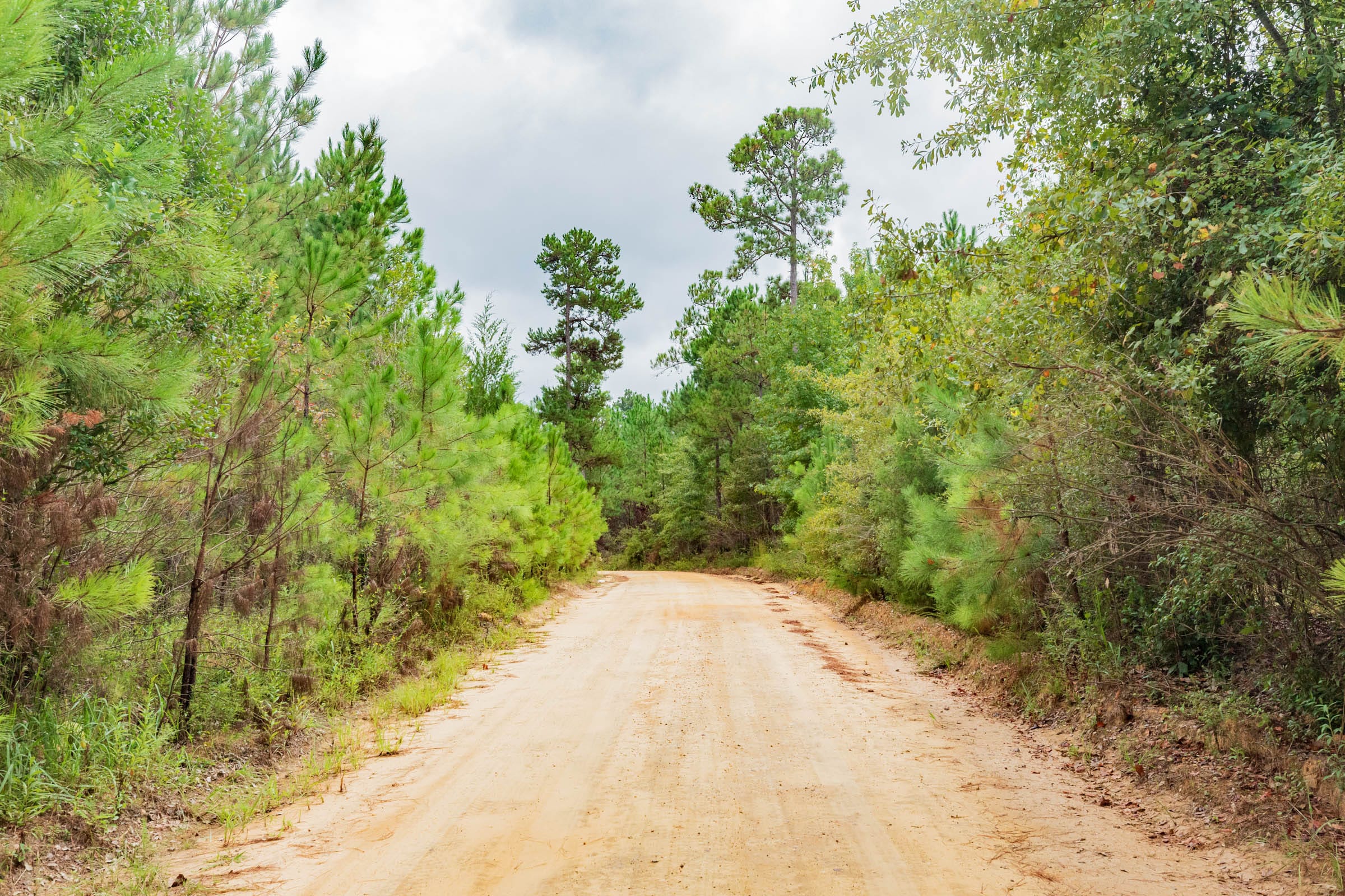 Jackson’s Gap Tract 6 photo 8