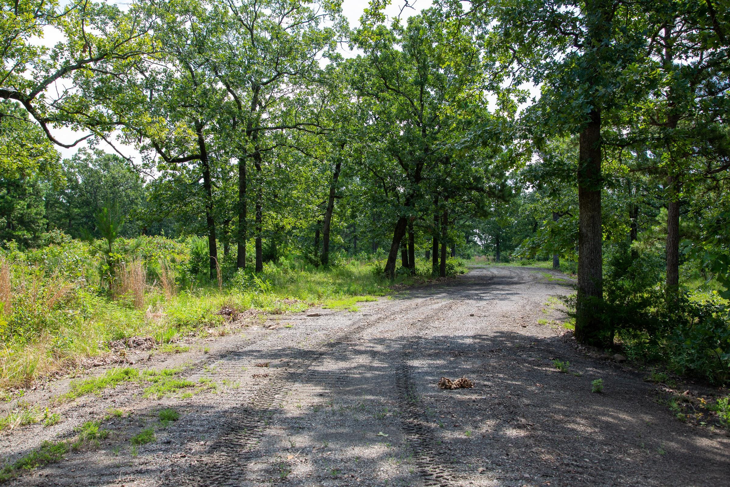 Tyler Stone Ranch Tract 42 photo 2