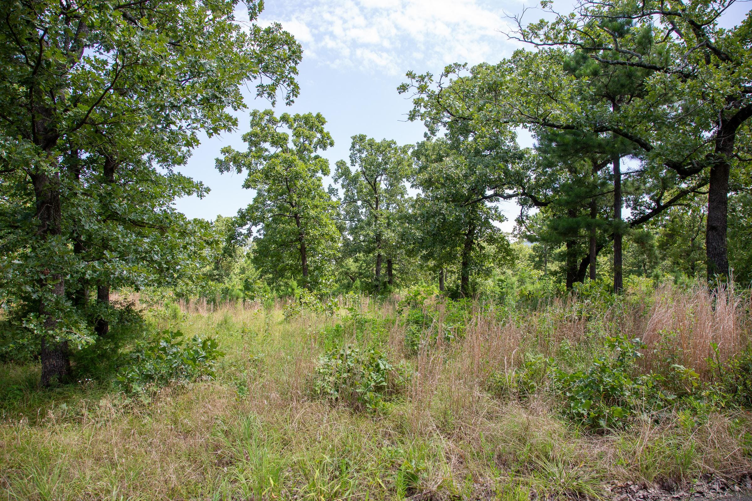 Tyler Stone Ranch Tract 42 photo 3