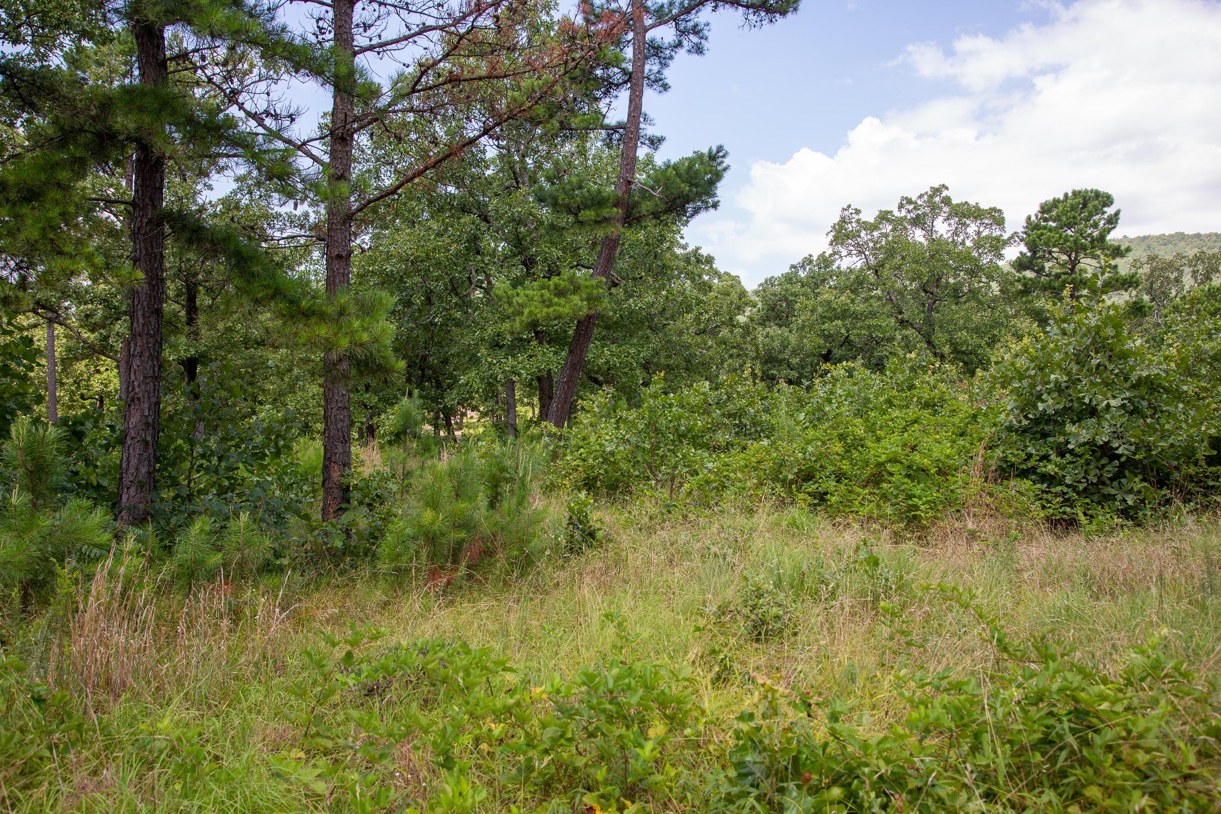 Tyler Stone Ranch Tract 42 photo 9