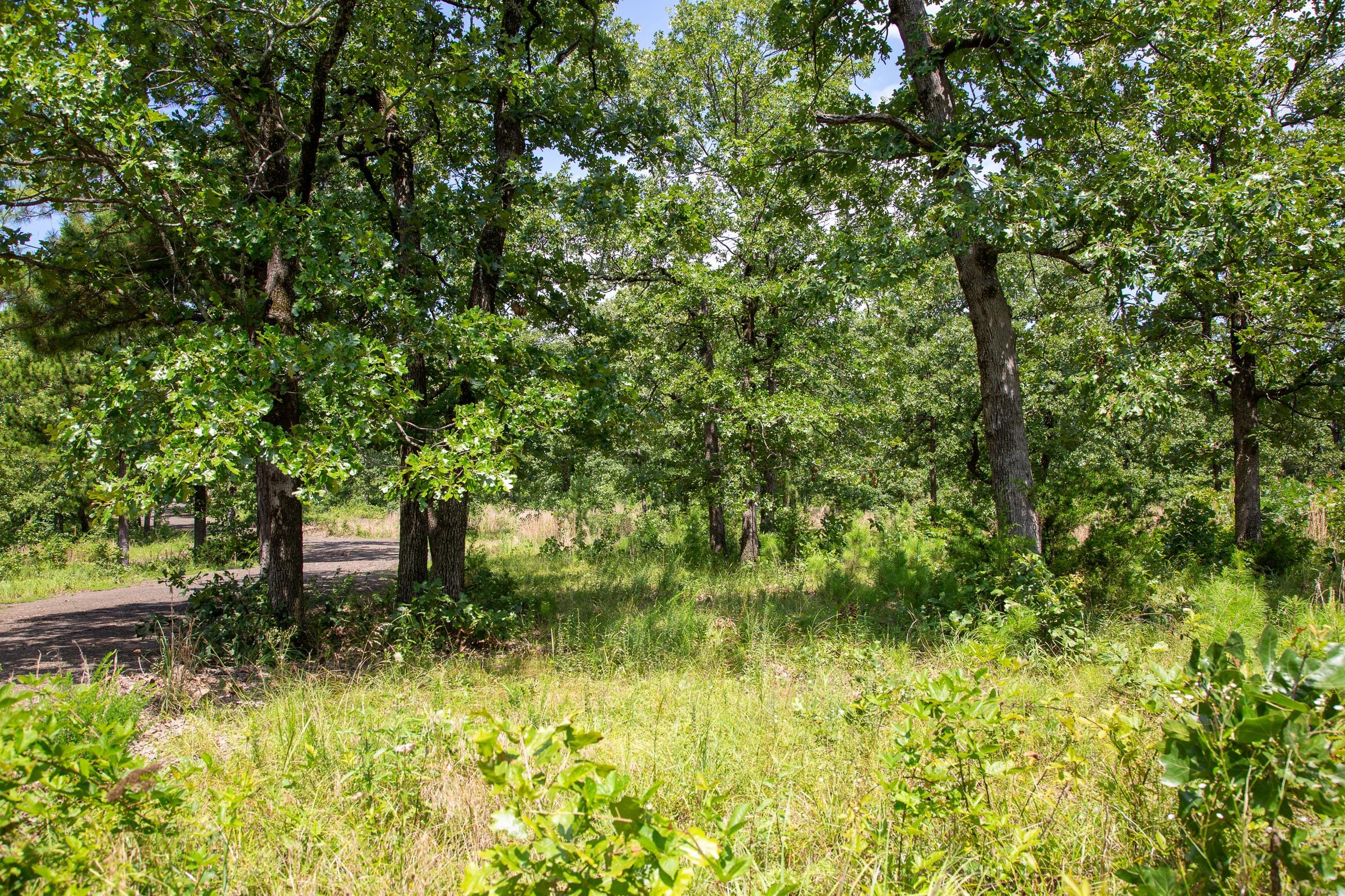 Tyler Stone Ranch Tract 42 photo 11