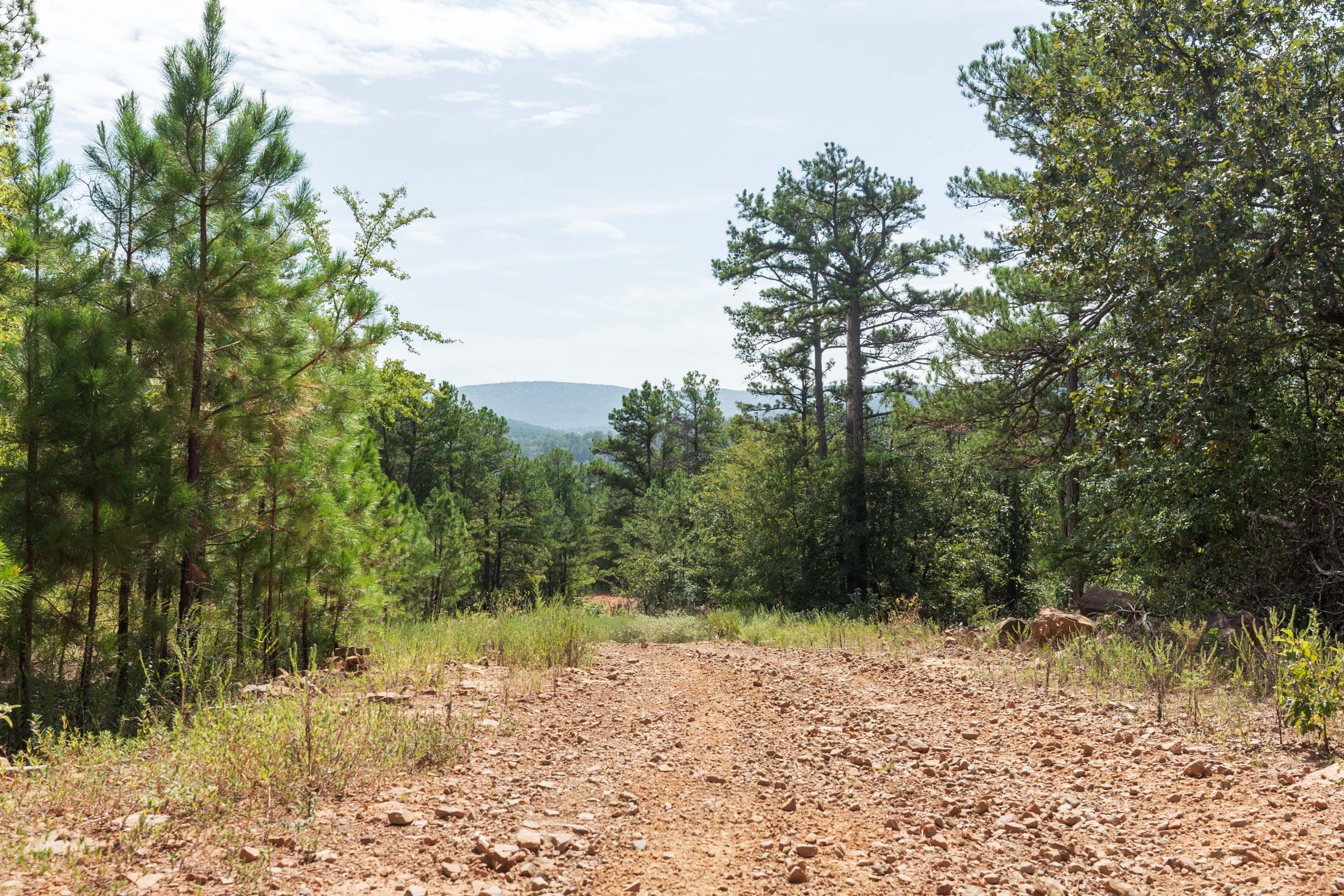 Stone Bridge Phase V Tract 382 photo 6
