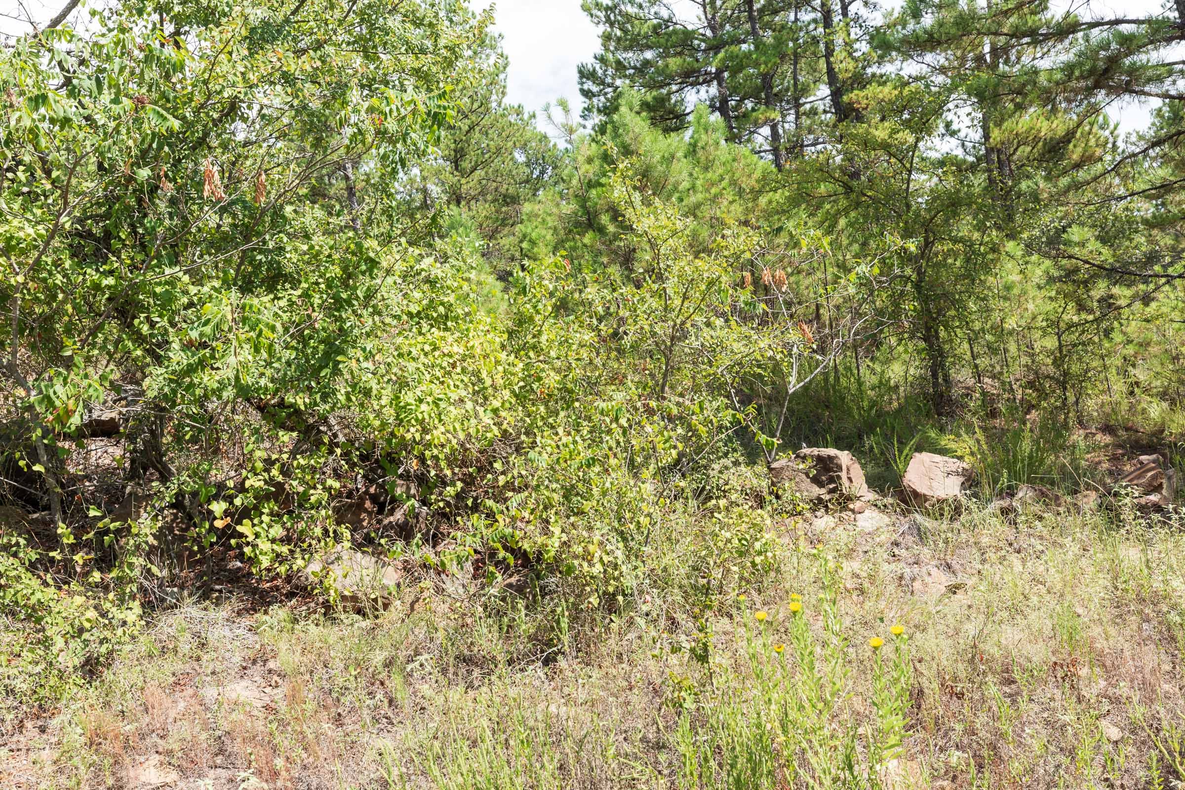Stone Bridge Phase V Tract 382 photo 4