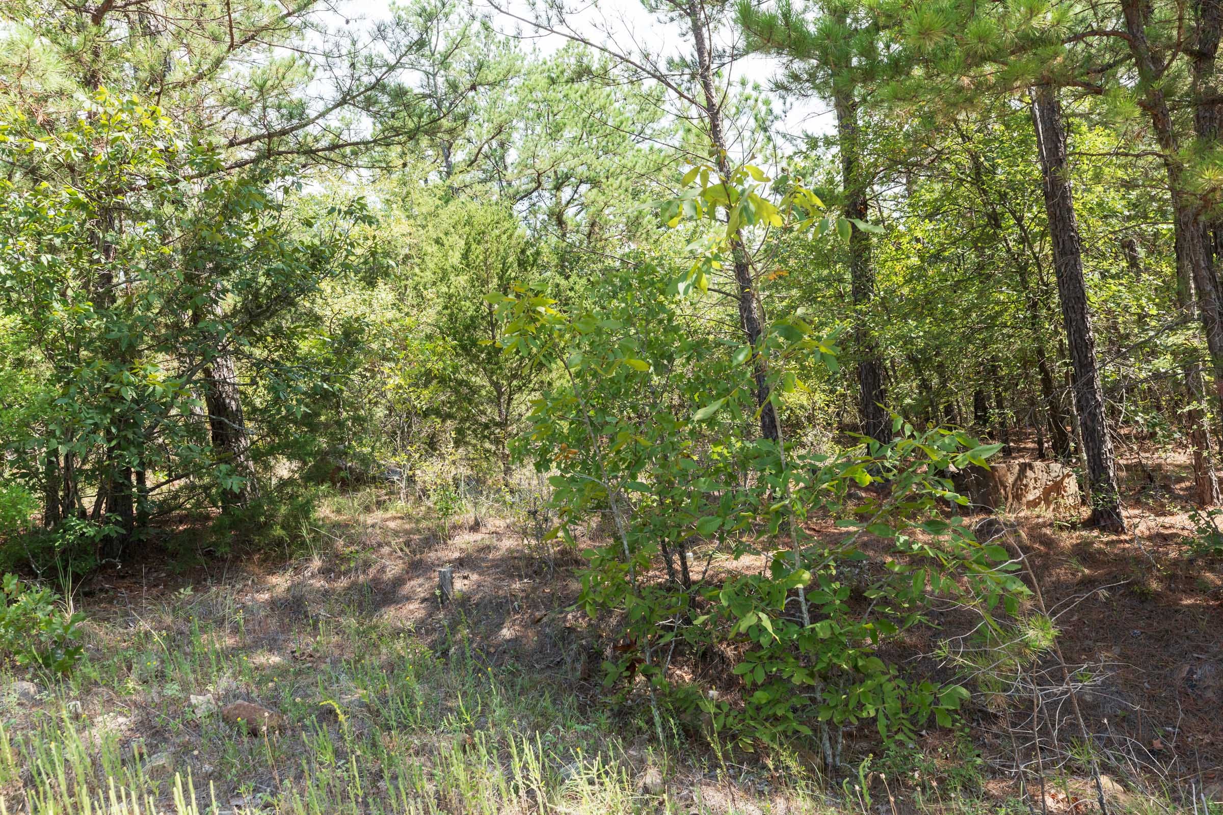 Stone Bridge Phase V Tract 382 photo 8