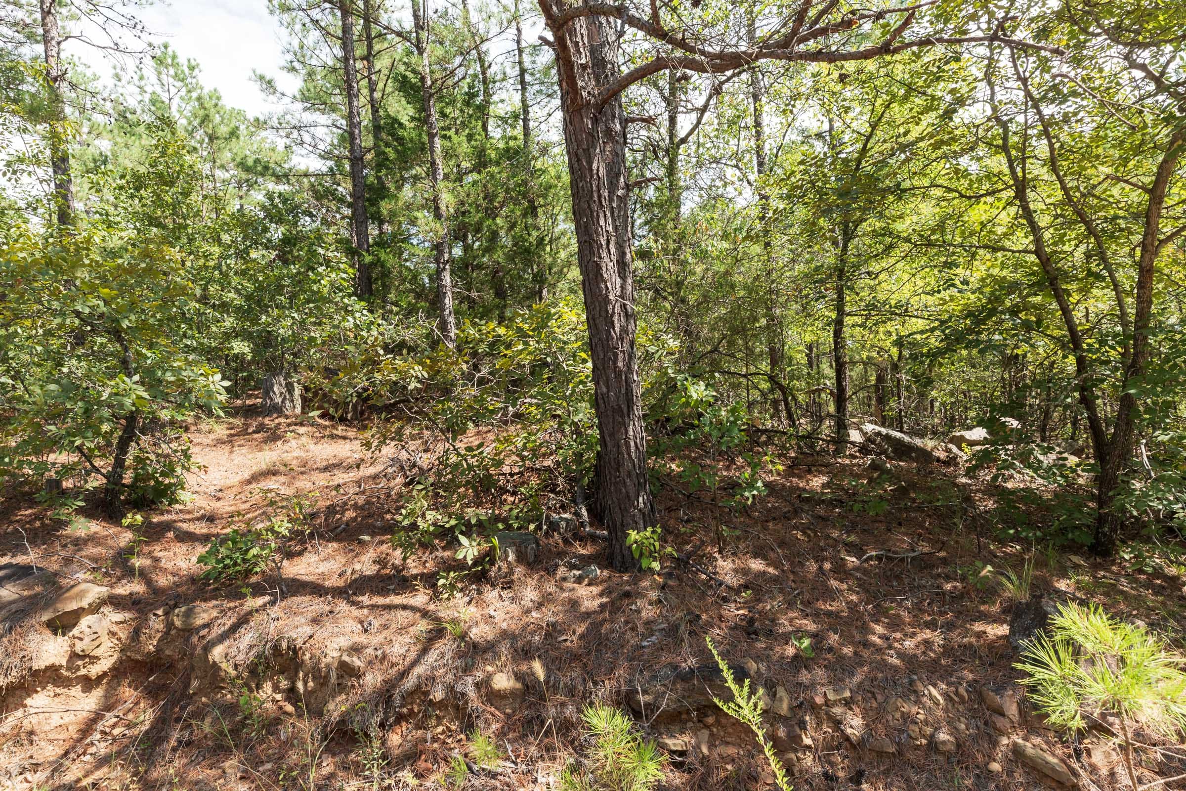 Stone Bridge Phase V Tract 382 photo 10