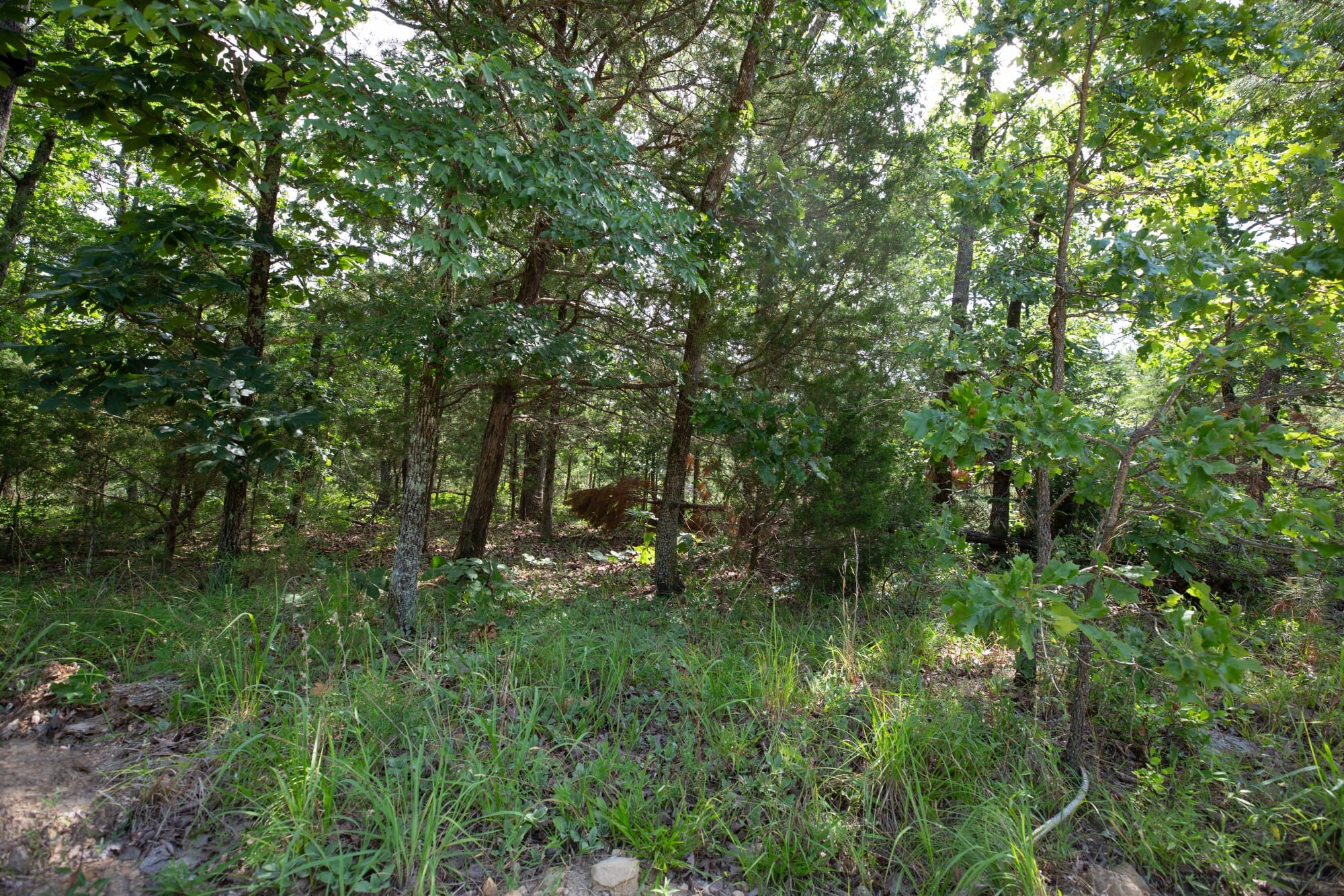 Eagle’s Nest Tract 35 photo 3