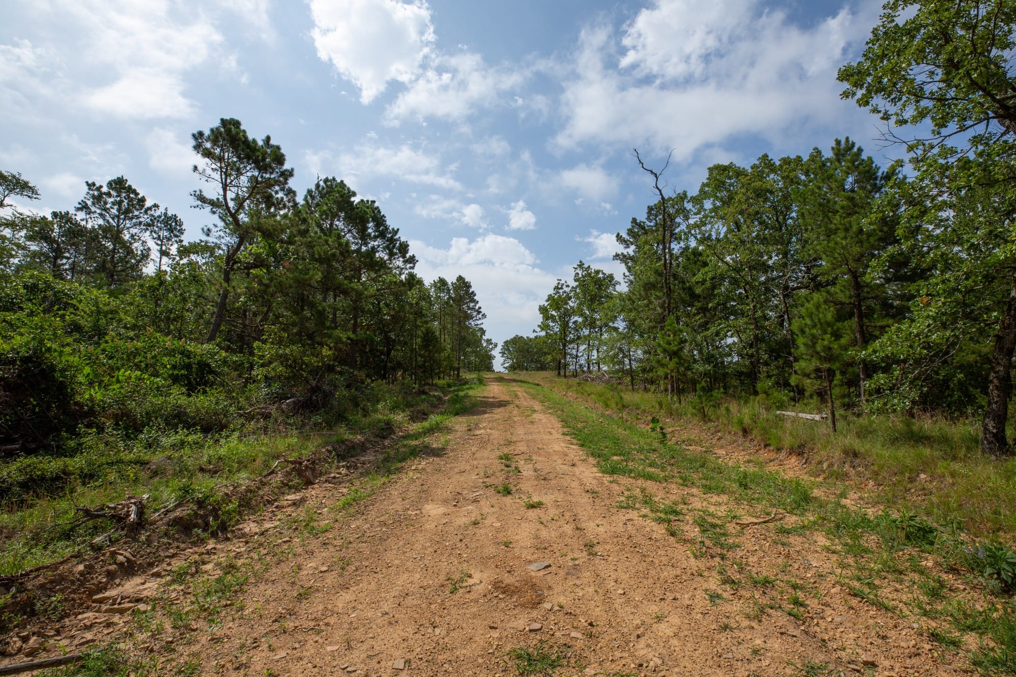 Eagle’s Nest Tract 35 photo 2