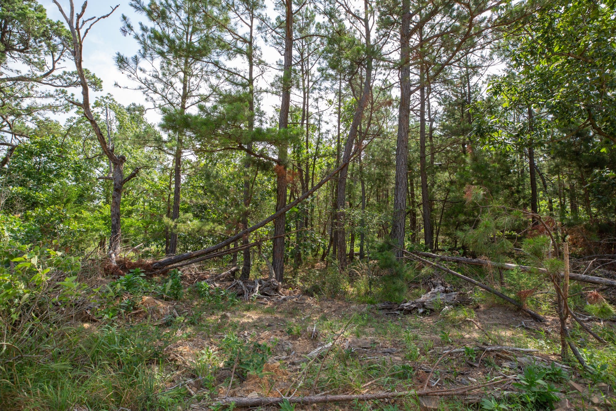 Eagle’s Nest Tract 35 photo 4