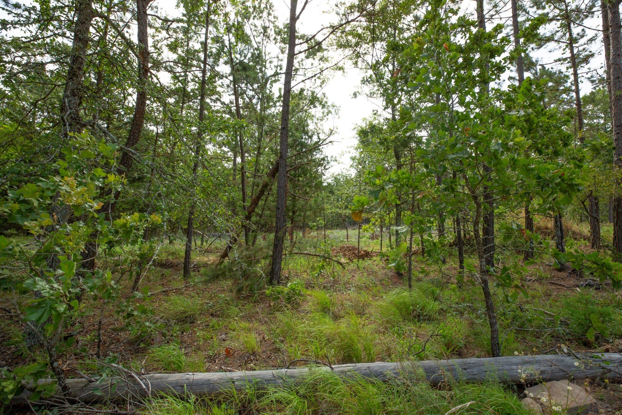 Eagle’s Nest Tract 35 photo 7