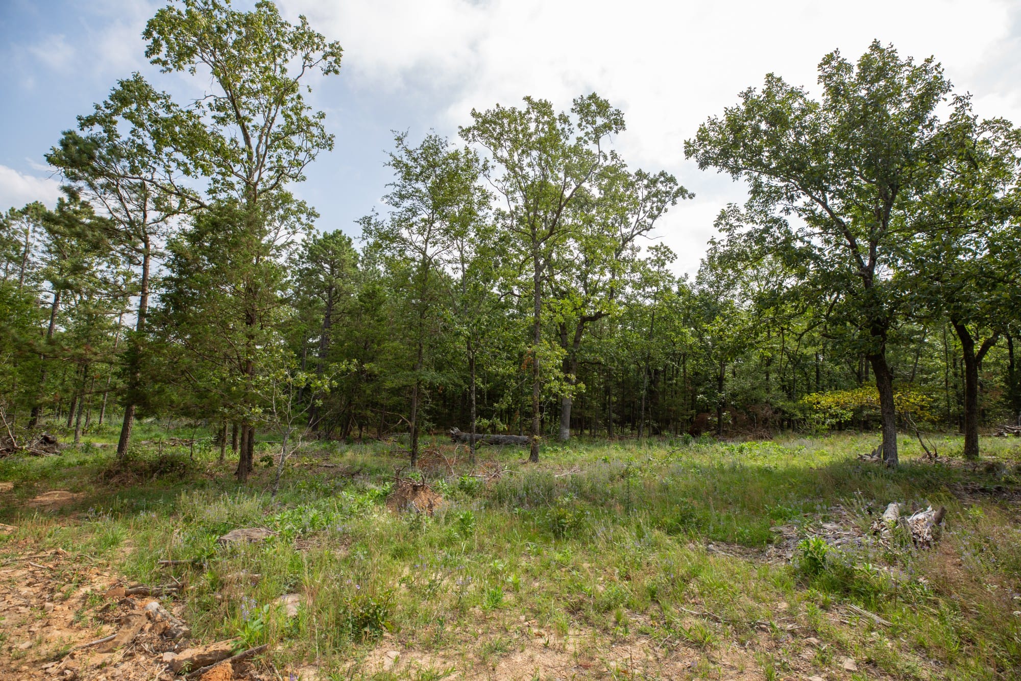 Eagle’s Nest Tract 35 photo 8