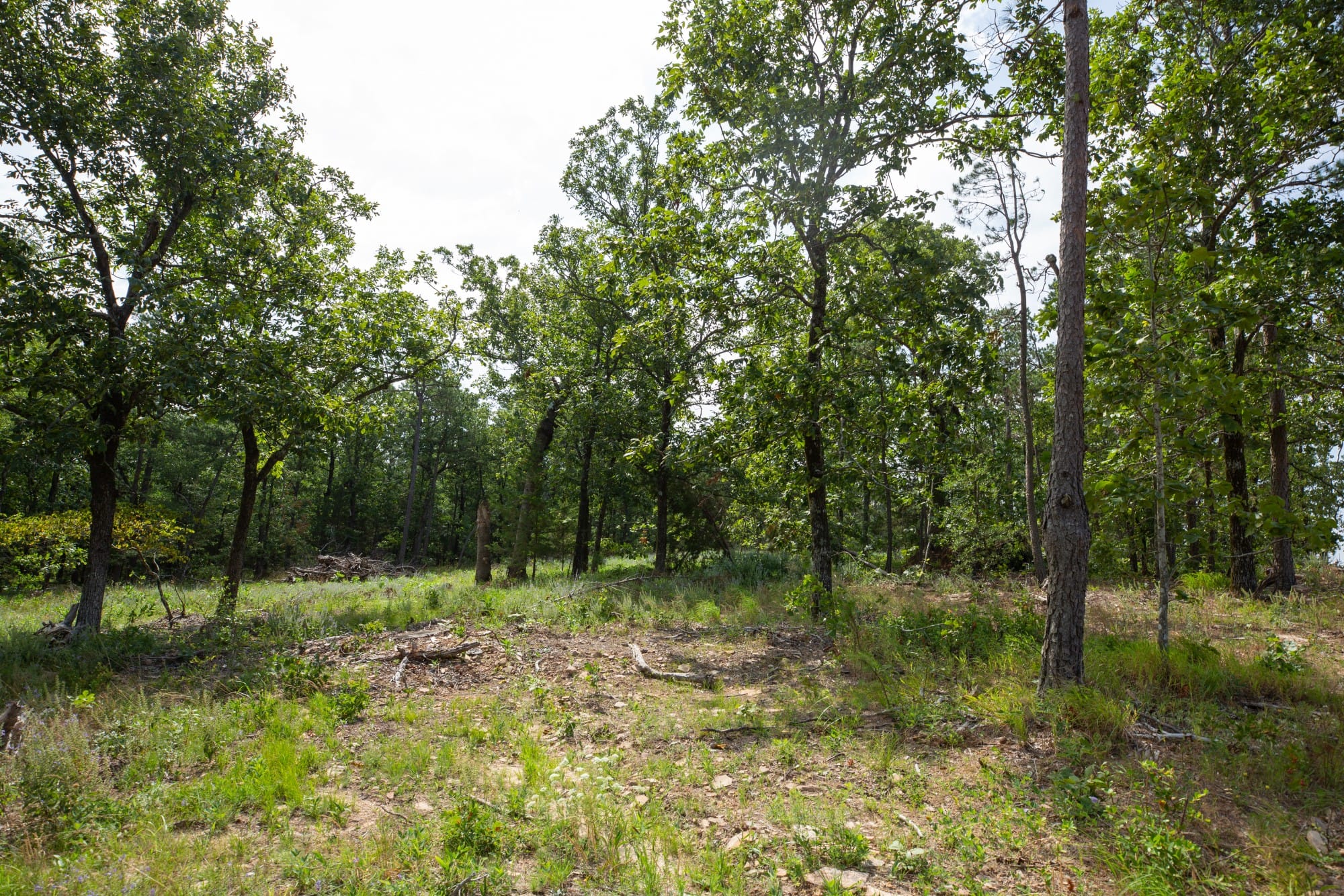 Eagle’s Nest Tract 35 photo 9