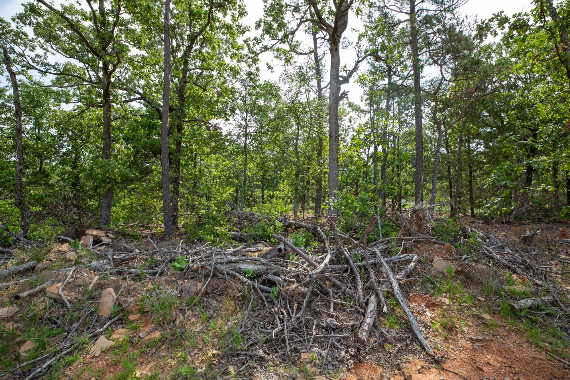 Eagle’s Nest Tract 35 photo 10