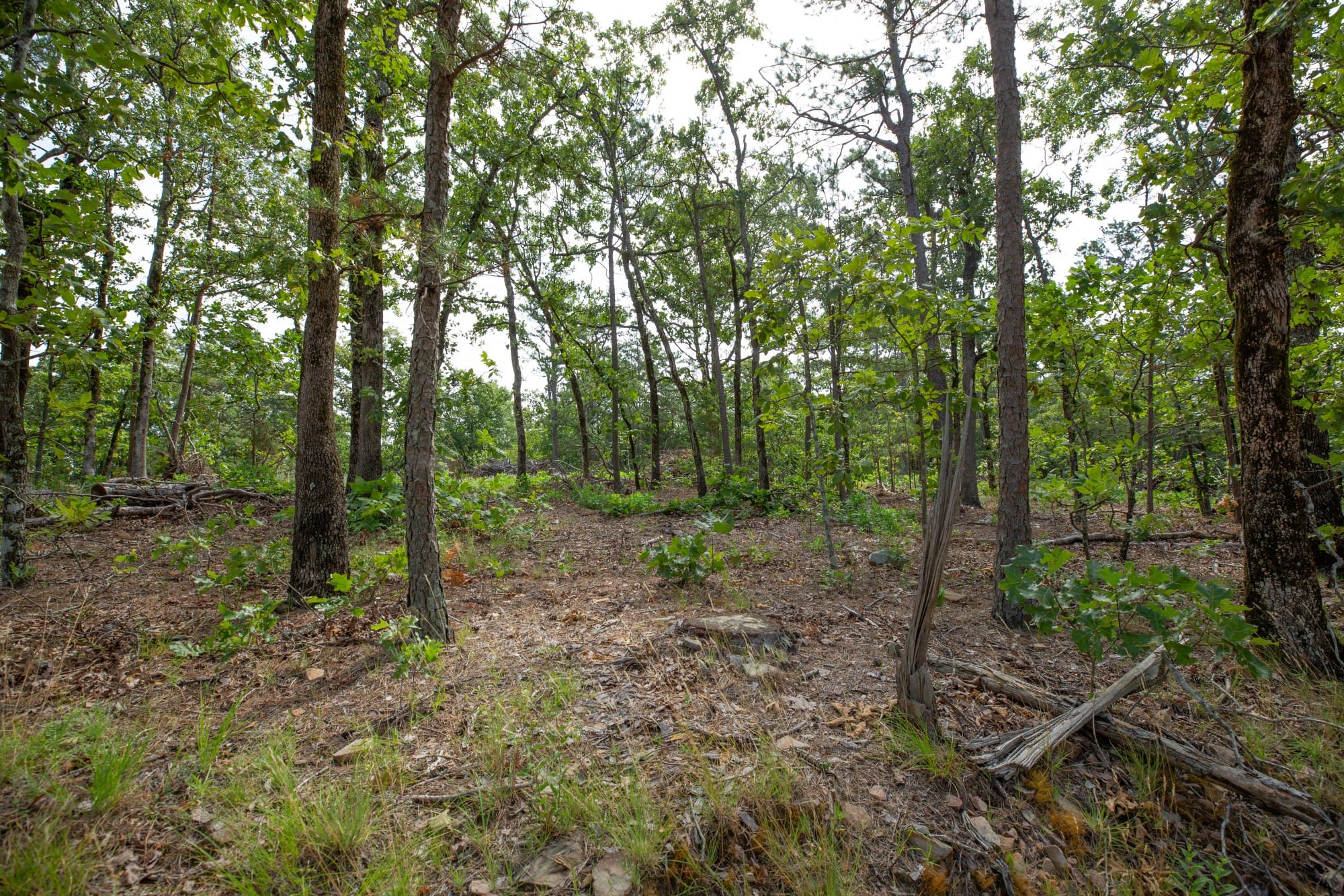 Eagle’s Nest Tract 35 photo 13