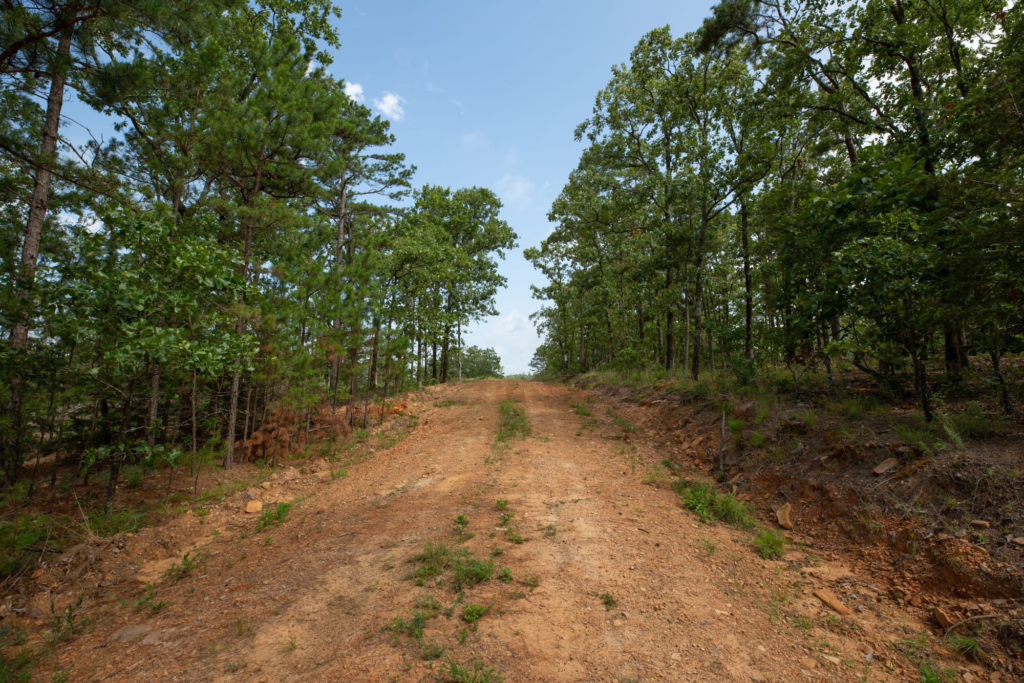Eagle’s Nest Tract 35 photo 6