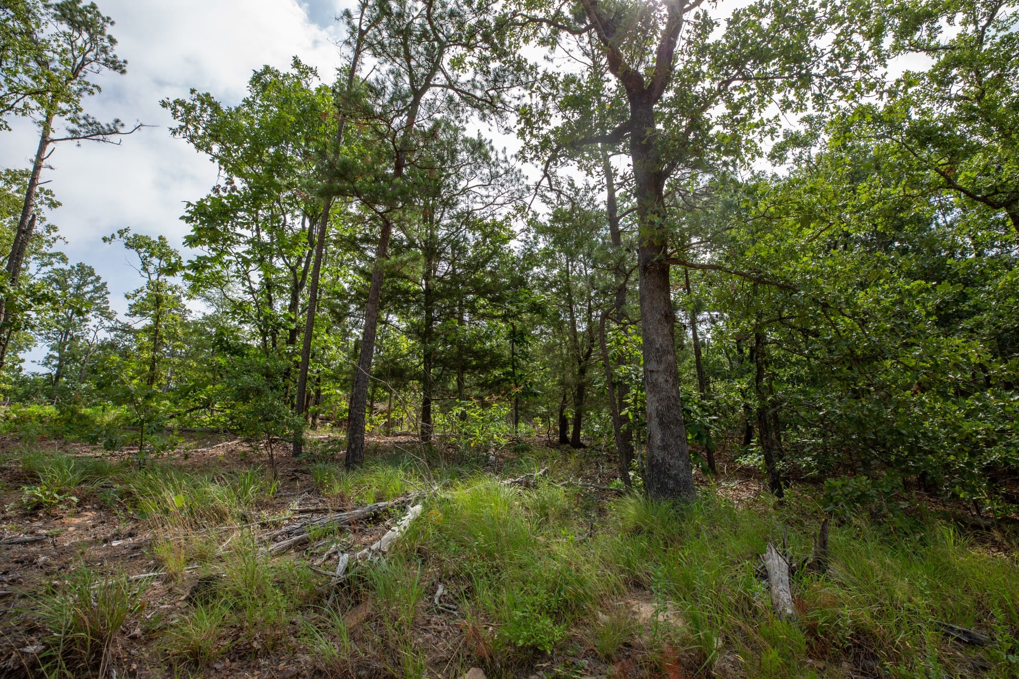 Eagle’s Nest Tract 35 photo 15