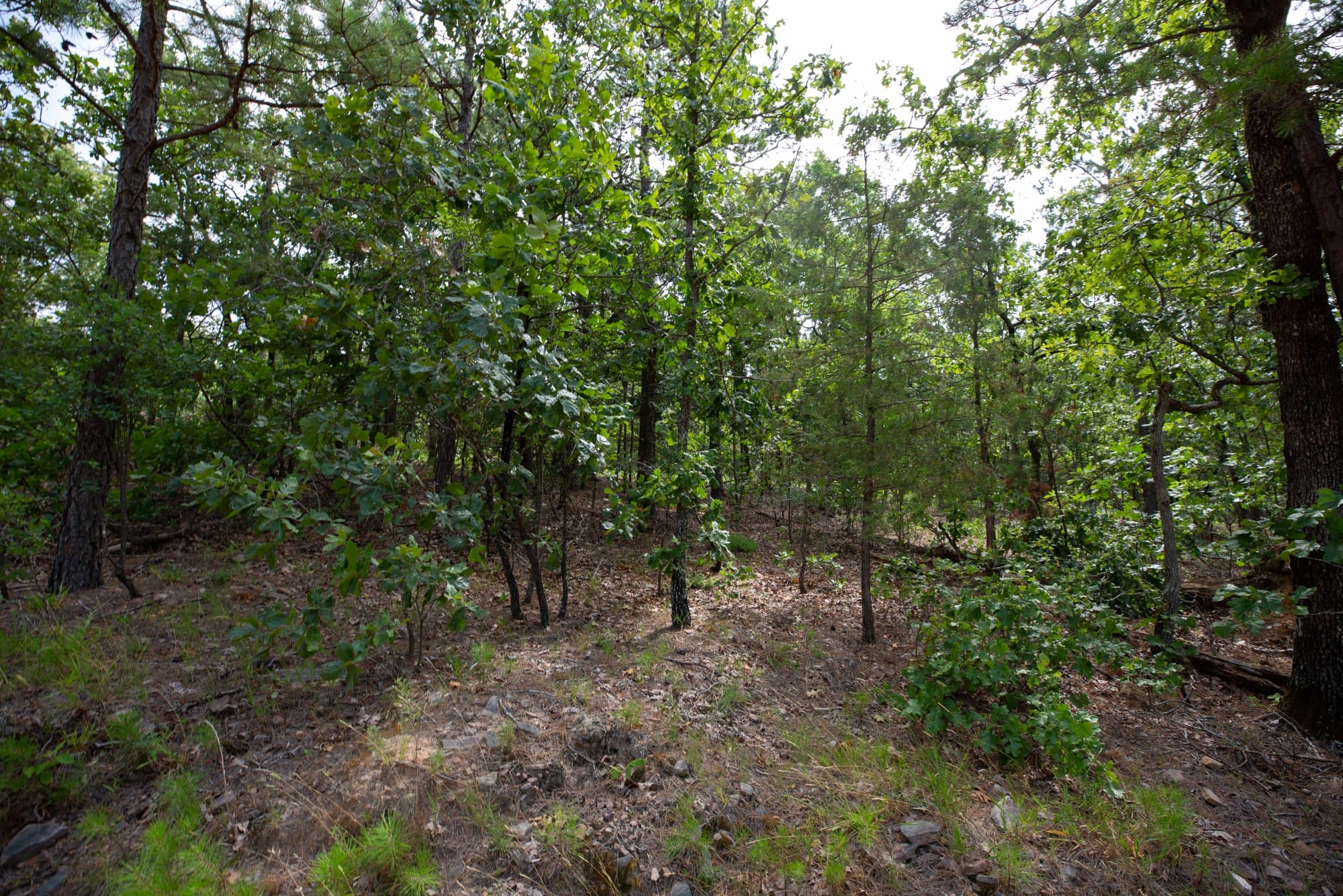 Eagle’s Nest Tract 35 photo 16
