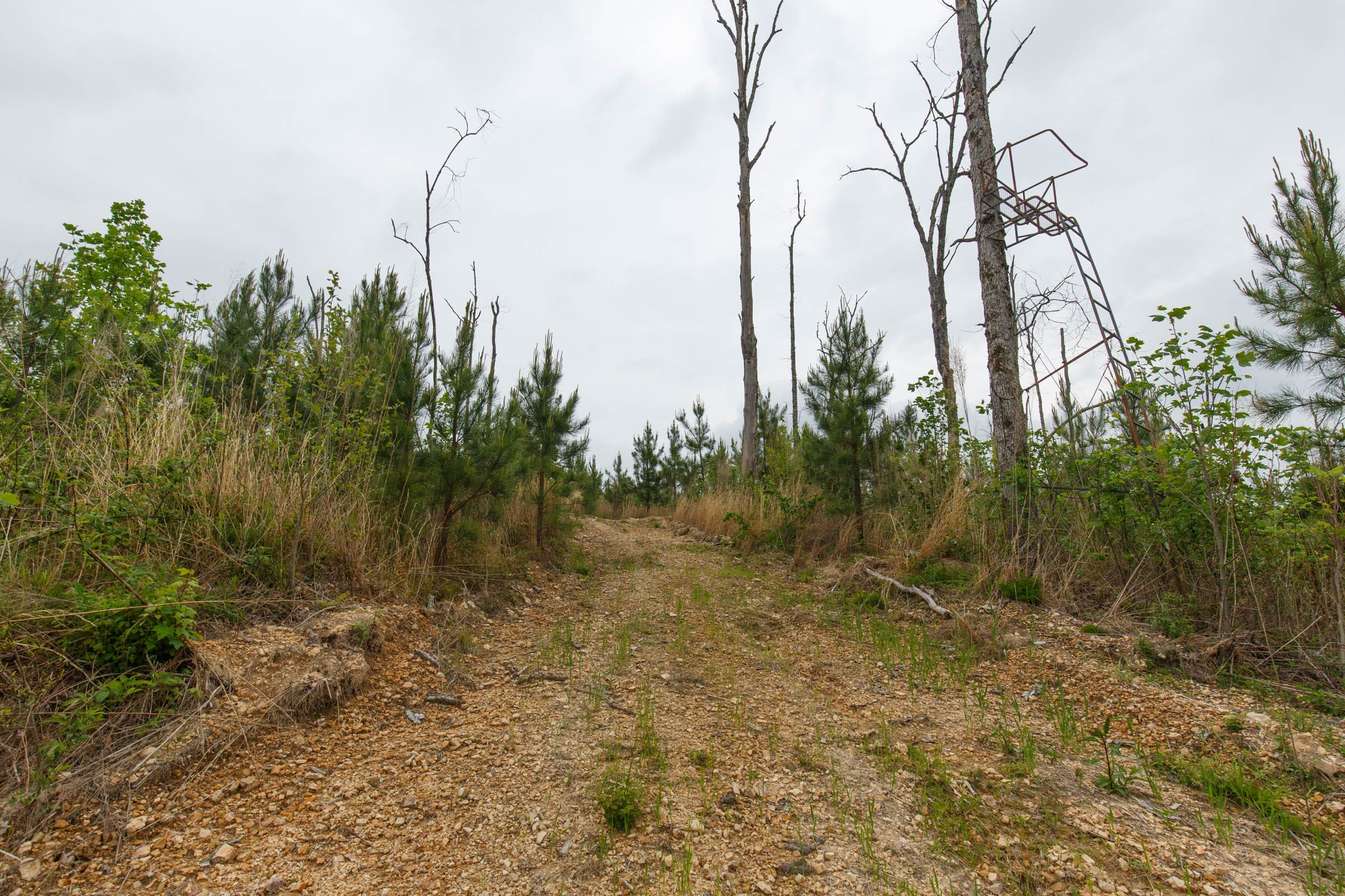 Red Barn Ranch Tract 38 photo 1