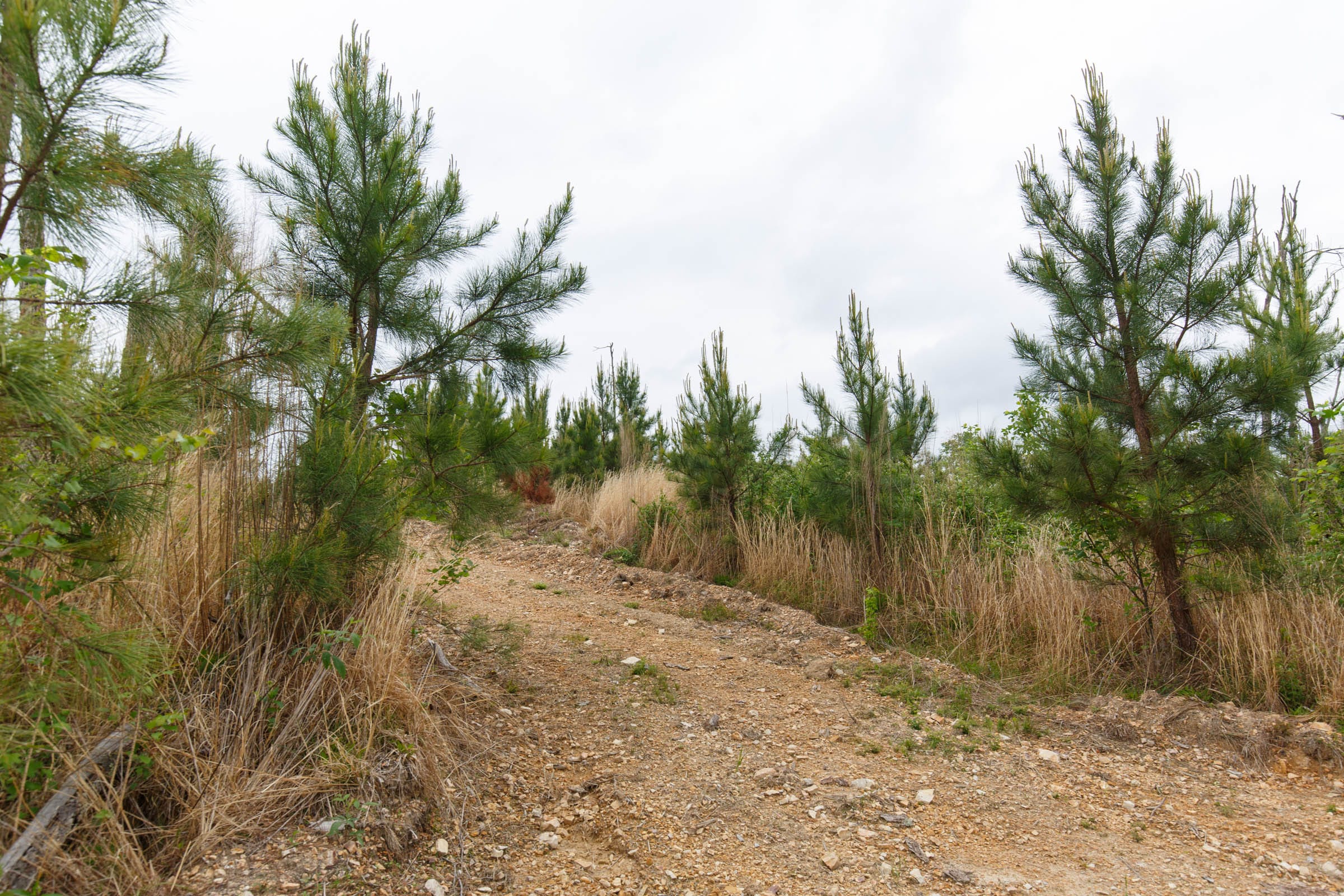 Red Barn Ranch Tract 38 photo 7