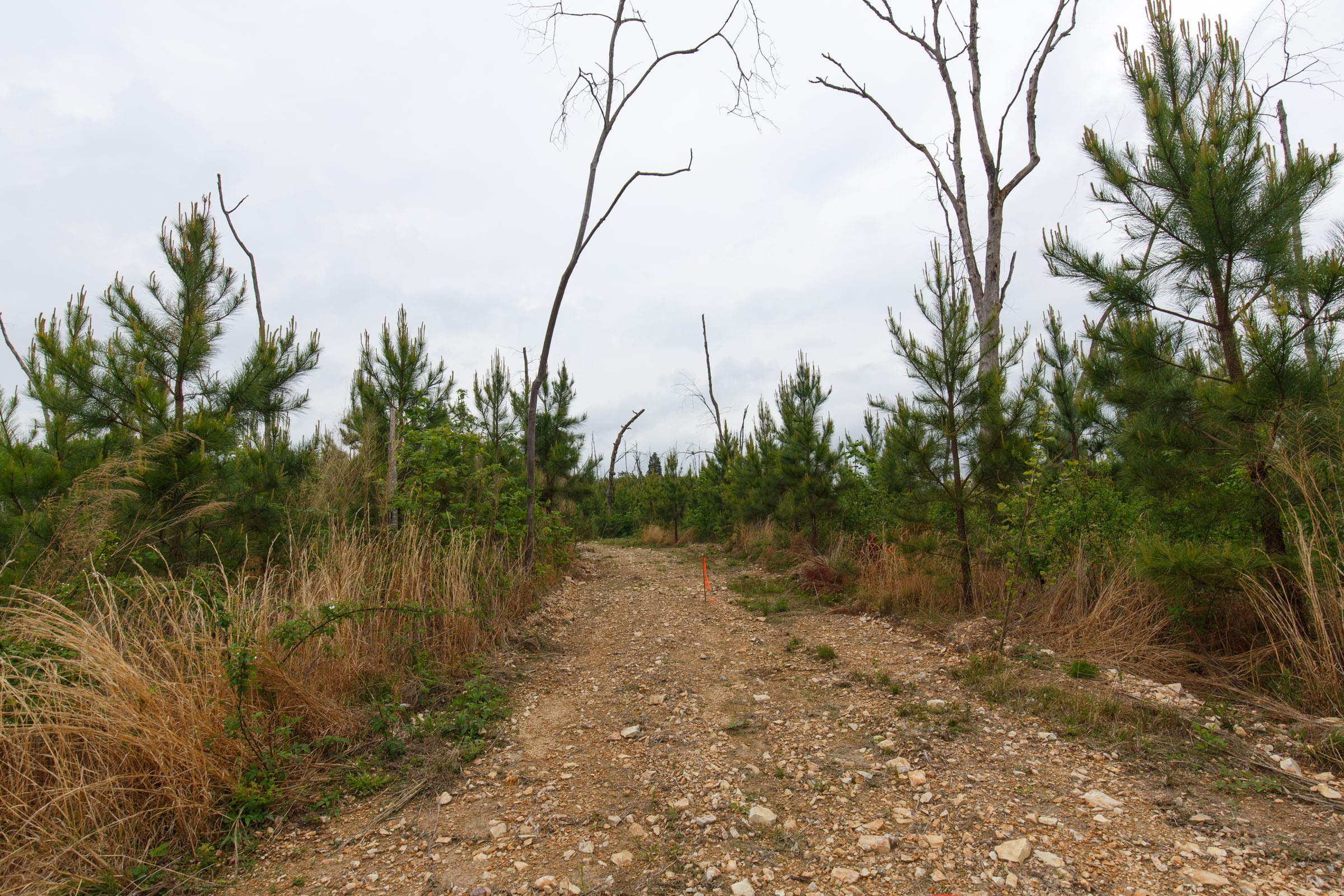 Red Barn Ranch Tract 38 photo 10