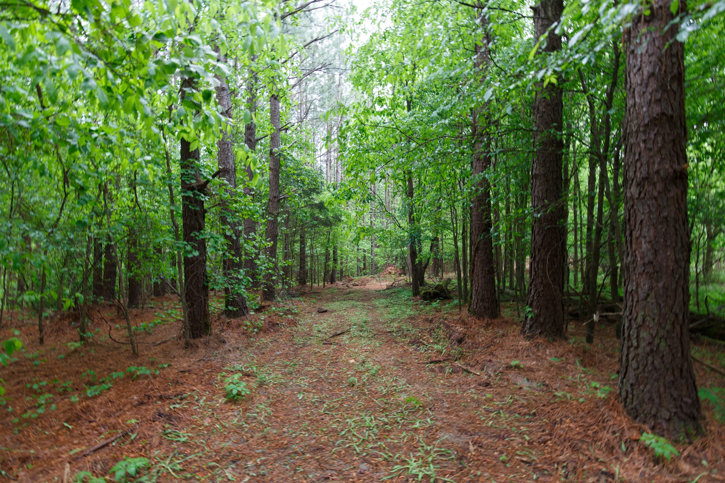Red Barn Ranch Tract 38 photo 13