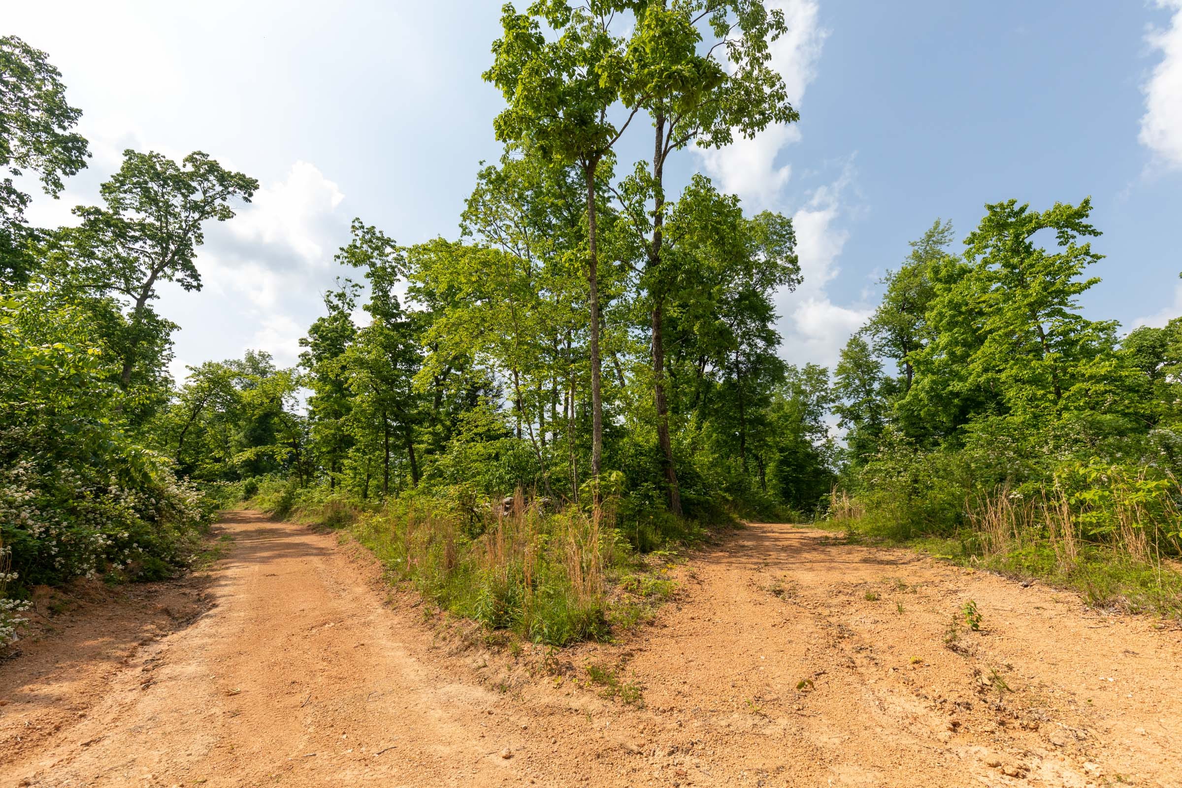 Cedar Creek Tract 49 photo 10