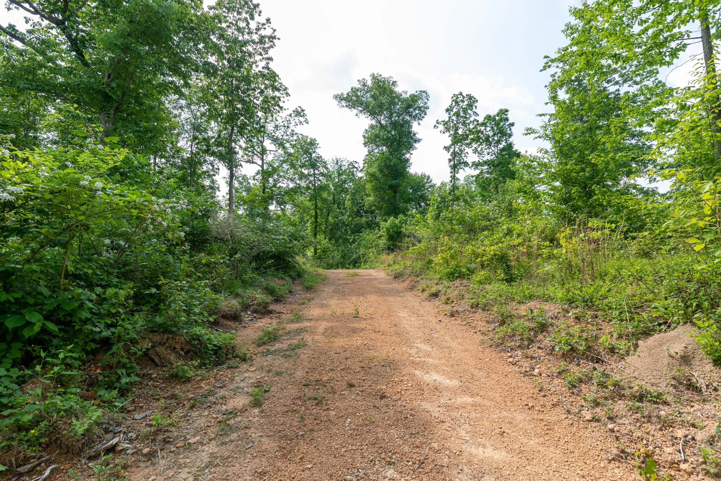 Cedar Creek Tract 49 photo 4