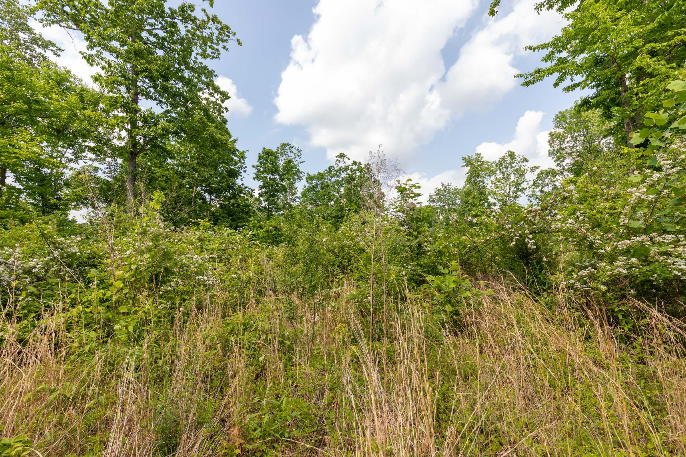Cedar Creek Tract 49 photo 6